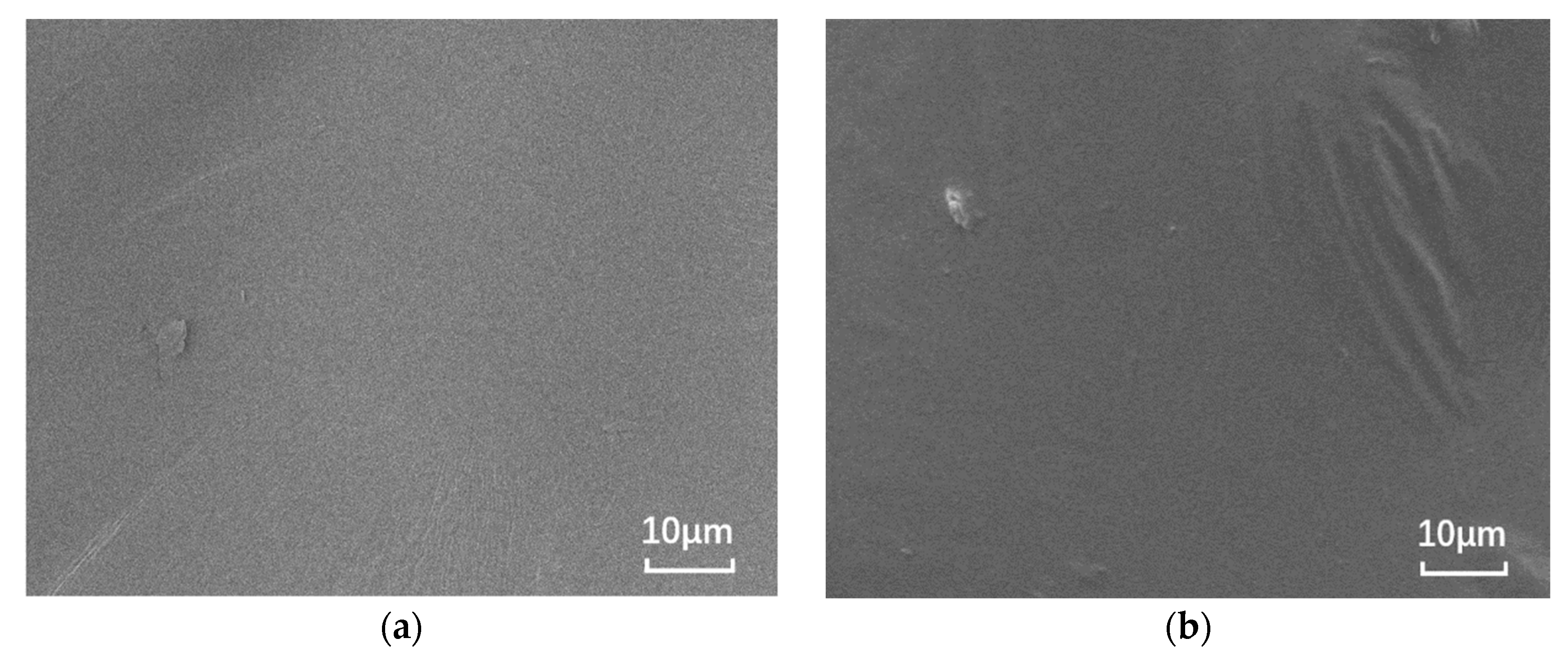 Materials 14 01433 g001a Materials 14 01433 g001a