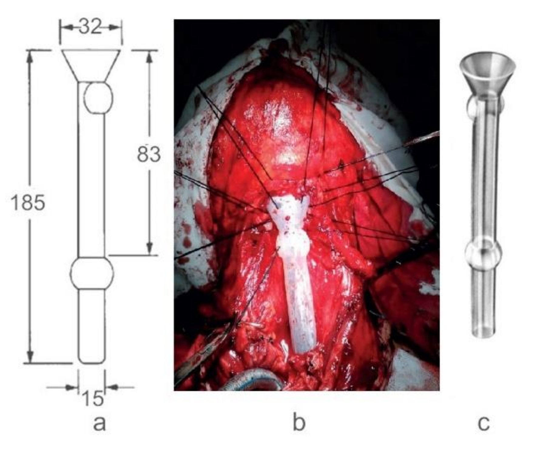 Materials 14 01436 g001