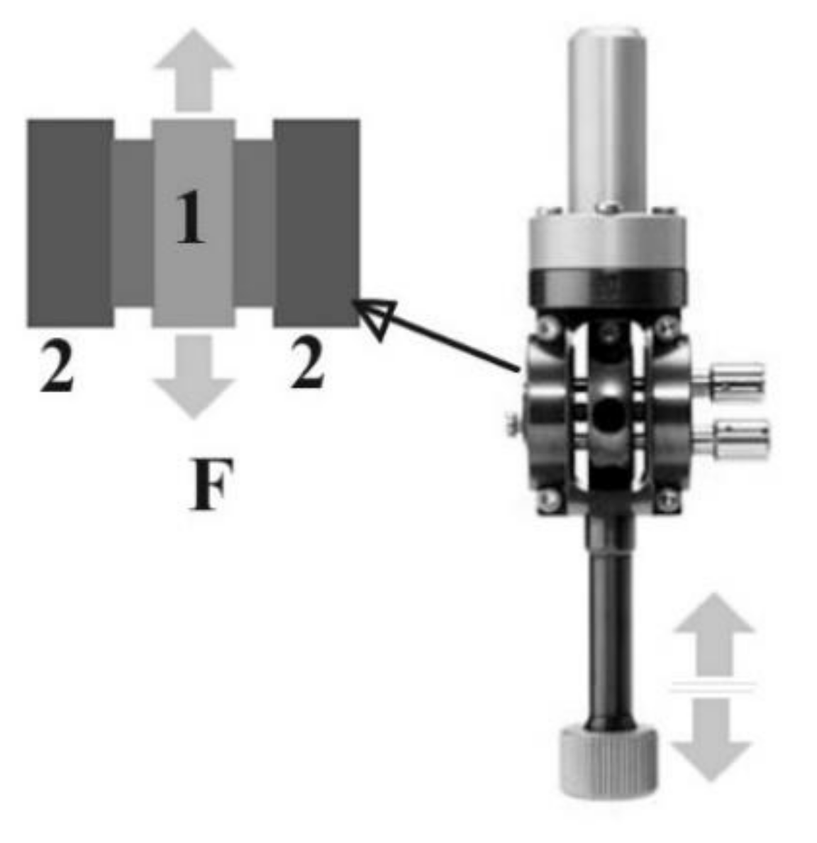 Materials 14 01436 g002