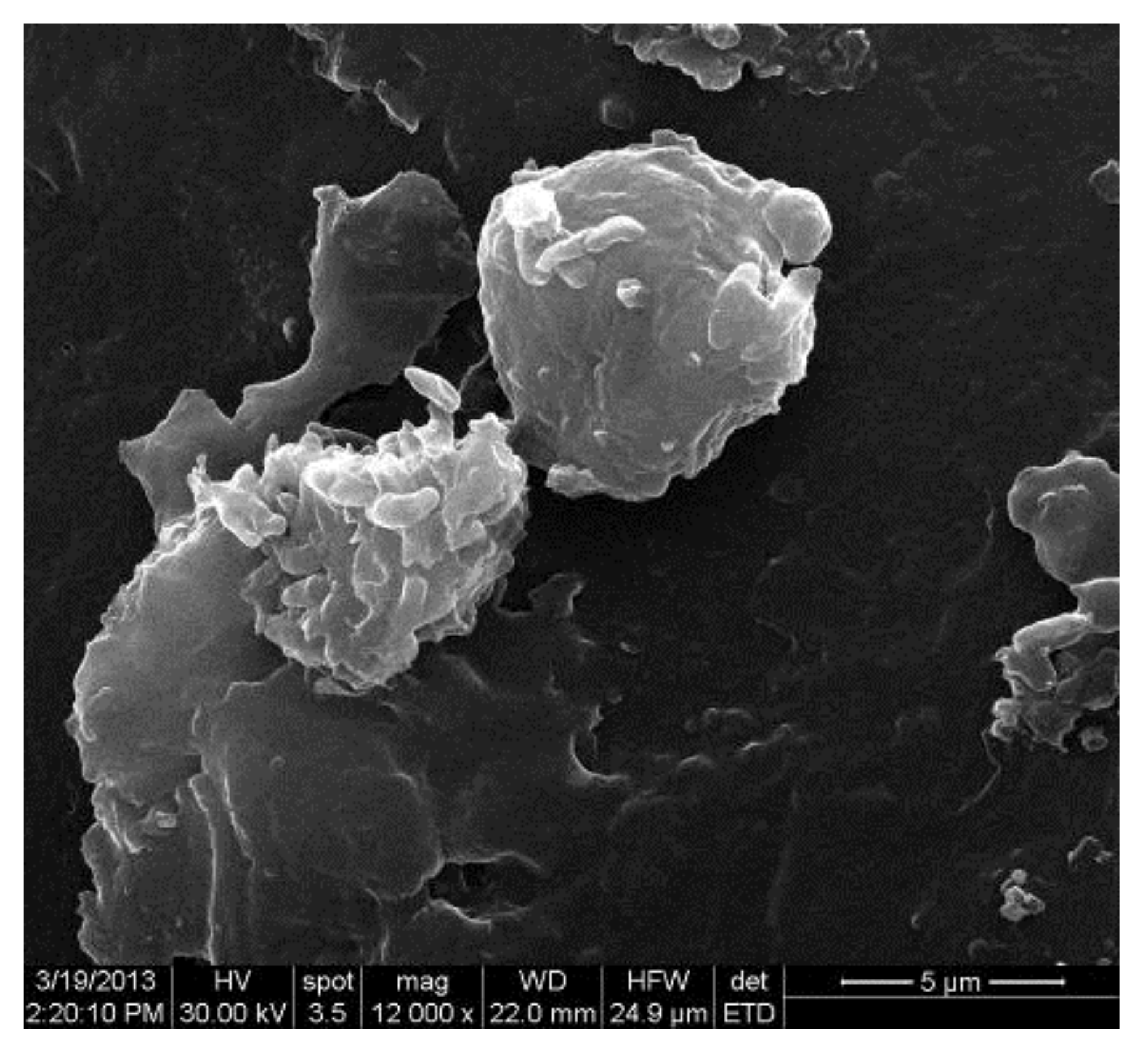 Materials 14 01436 g008