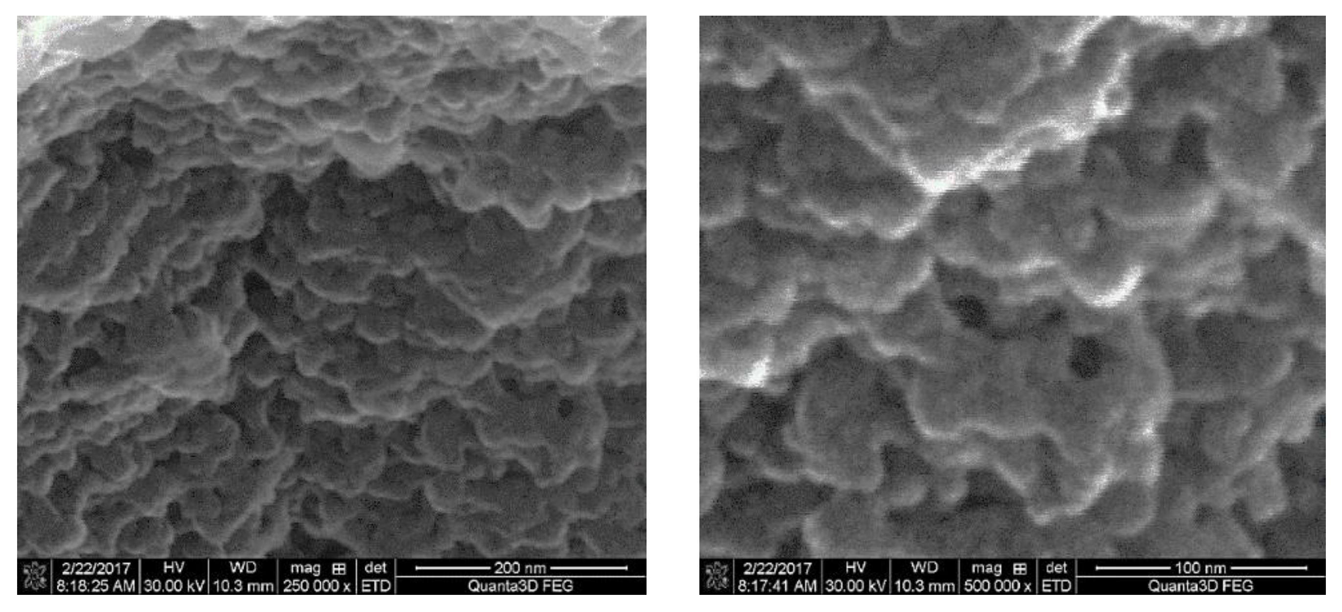 Materials 14 01438 g003 Materials 14 01438 g003