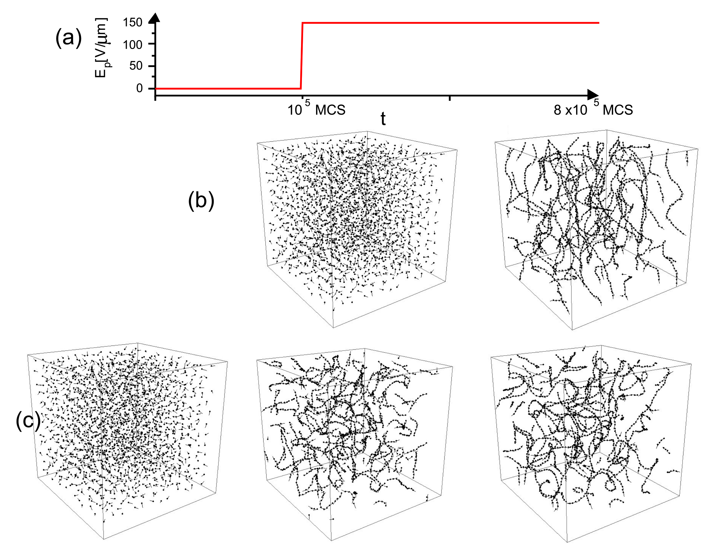 Materials 14 01454 g024