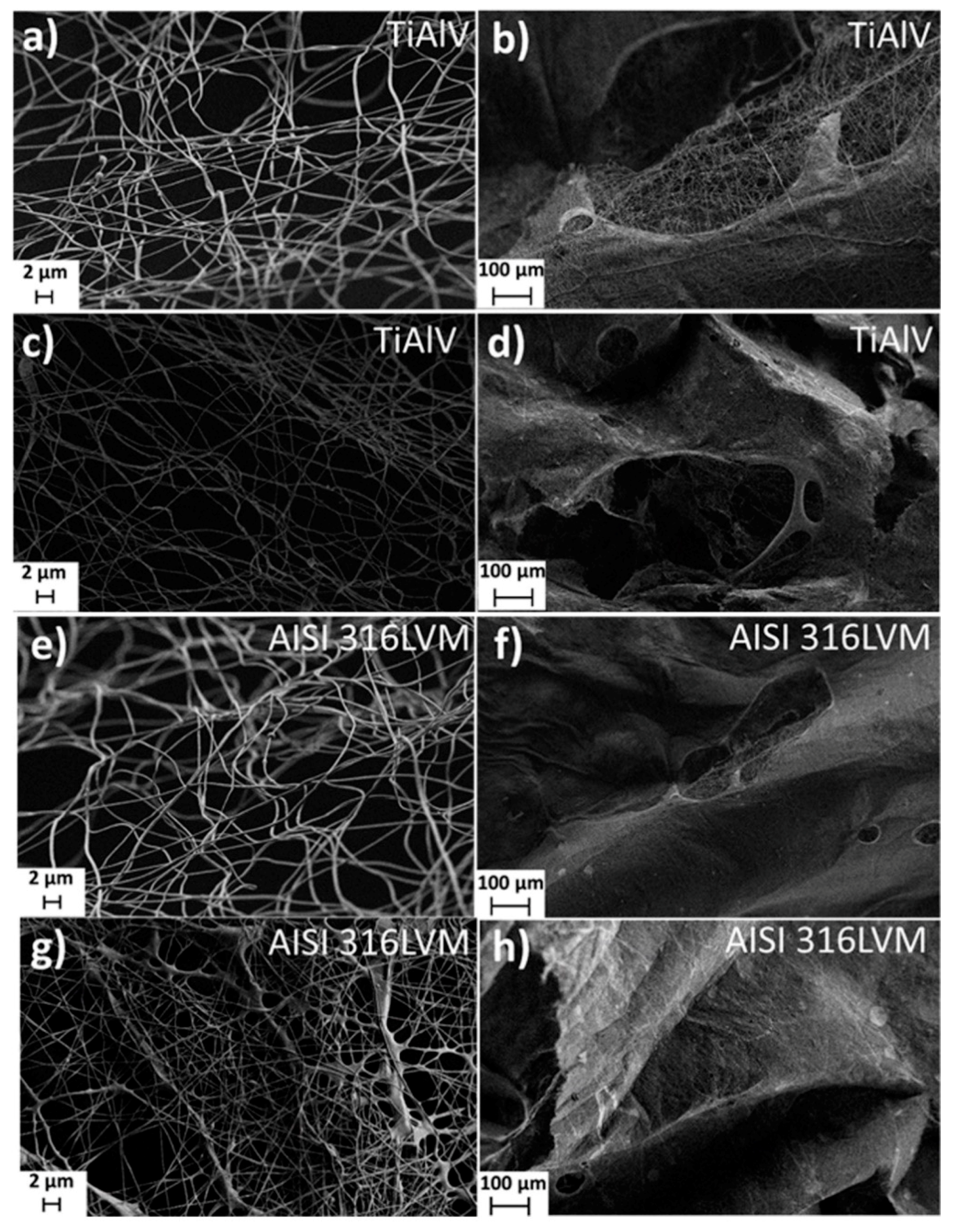 Materials 14 01464 g002