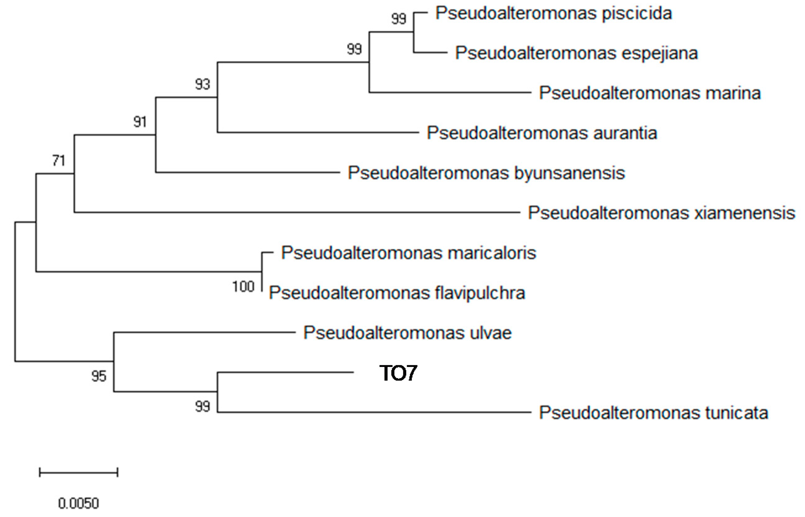Materials 14 01477 g008