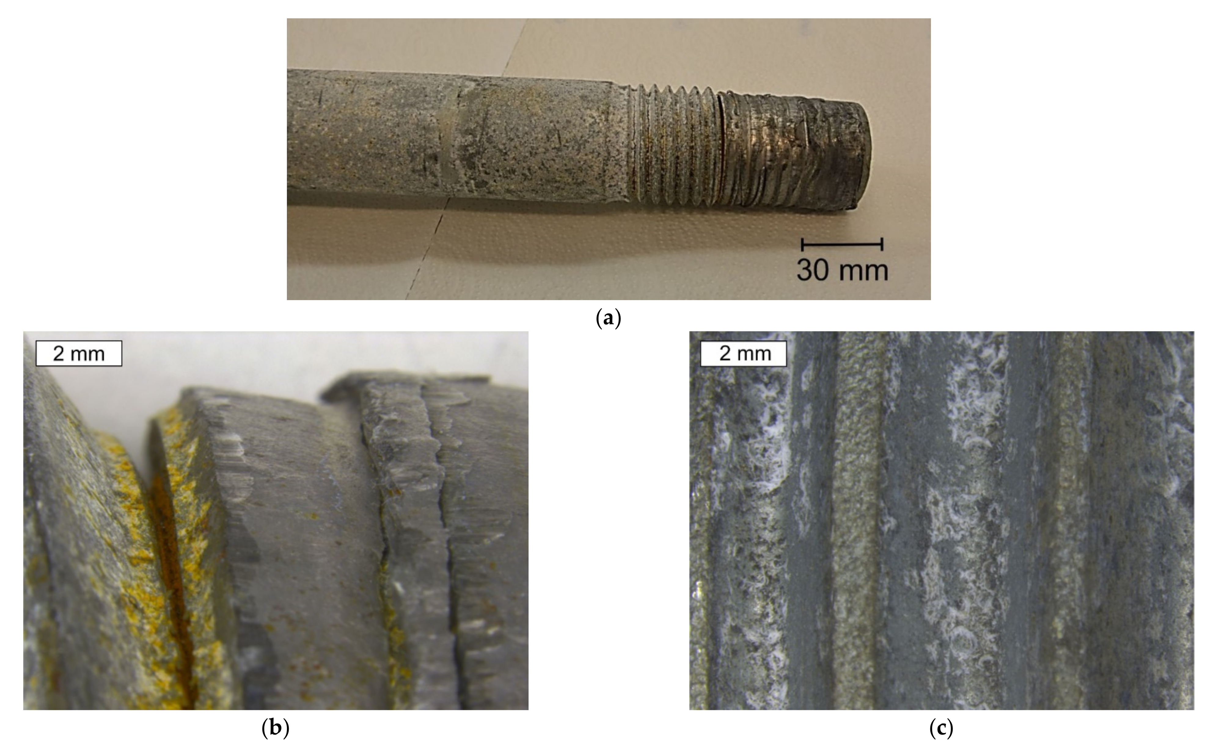 Materials 14 01485 g003 Materials 14 01485 g003