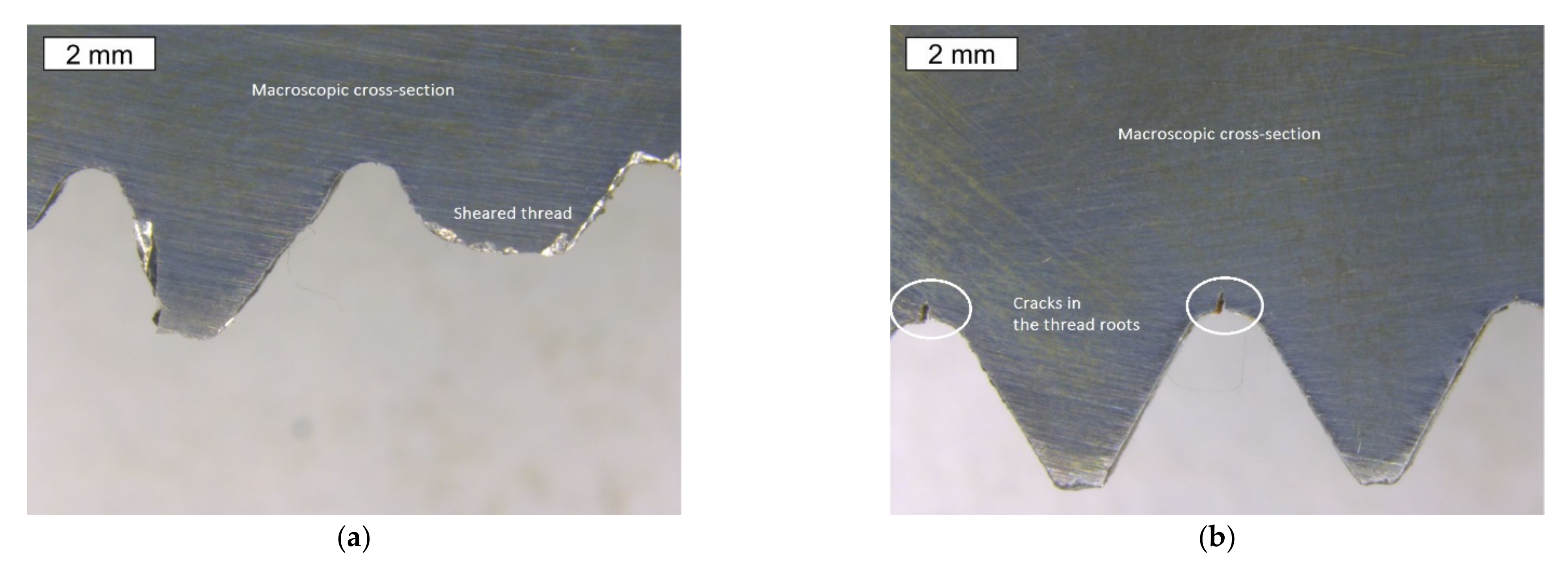 Materials 14 01485 g004 Materials 14 01485 g004