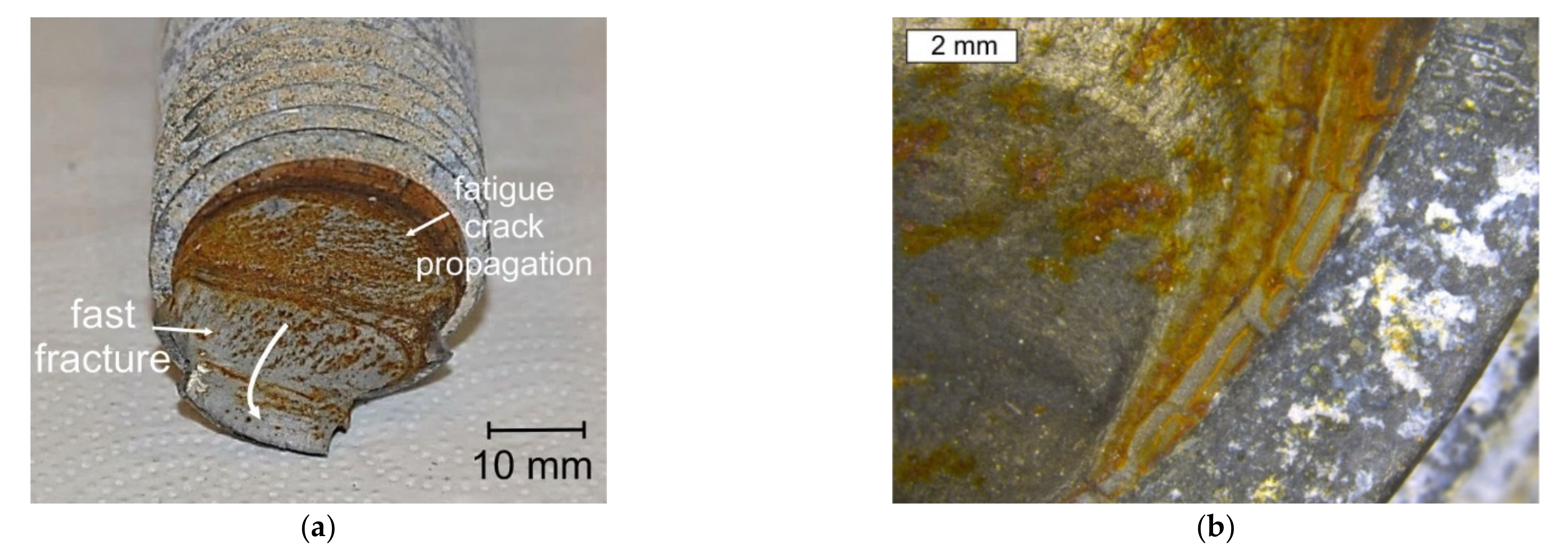 Materials 14 01485 g008 Materials 14 01485 g008