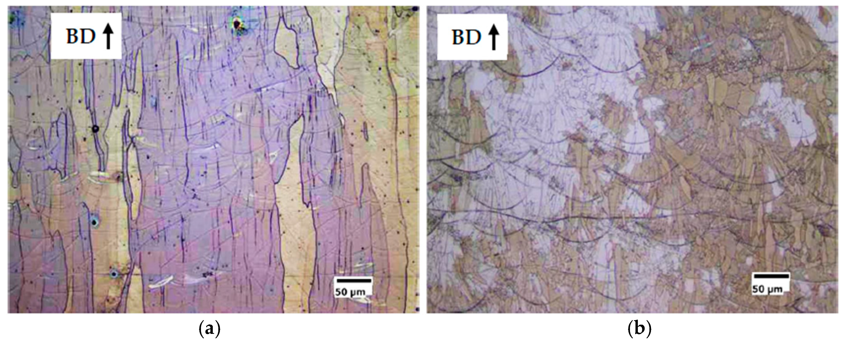 Materials 14 01489 g009