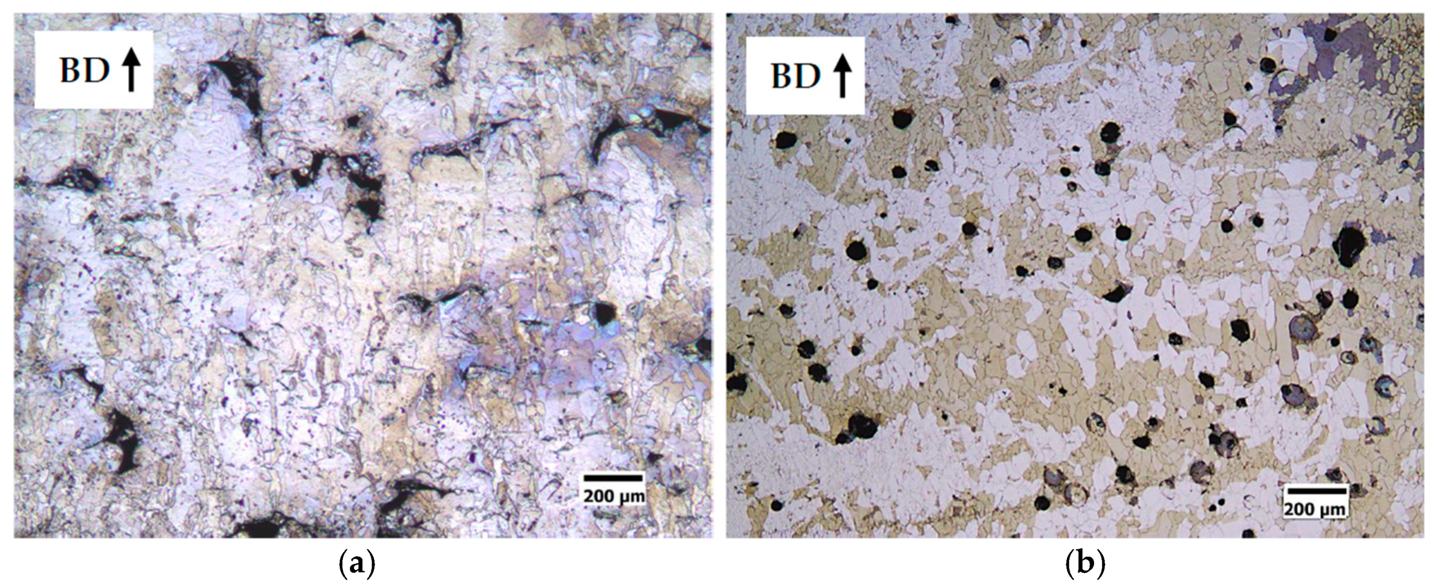 Materials 14 01489 g010