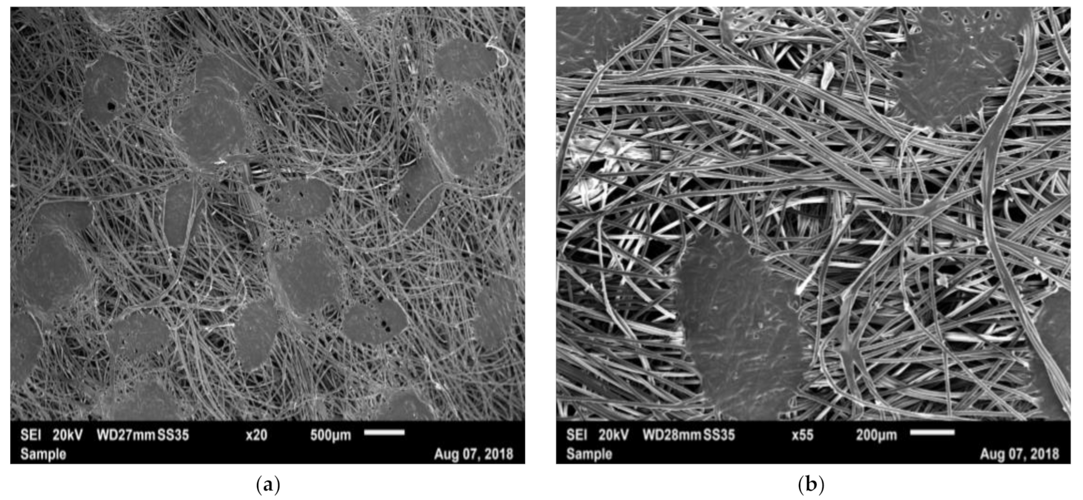 Materials 14 01508 g006a Materials 14 01508 g006a