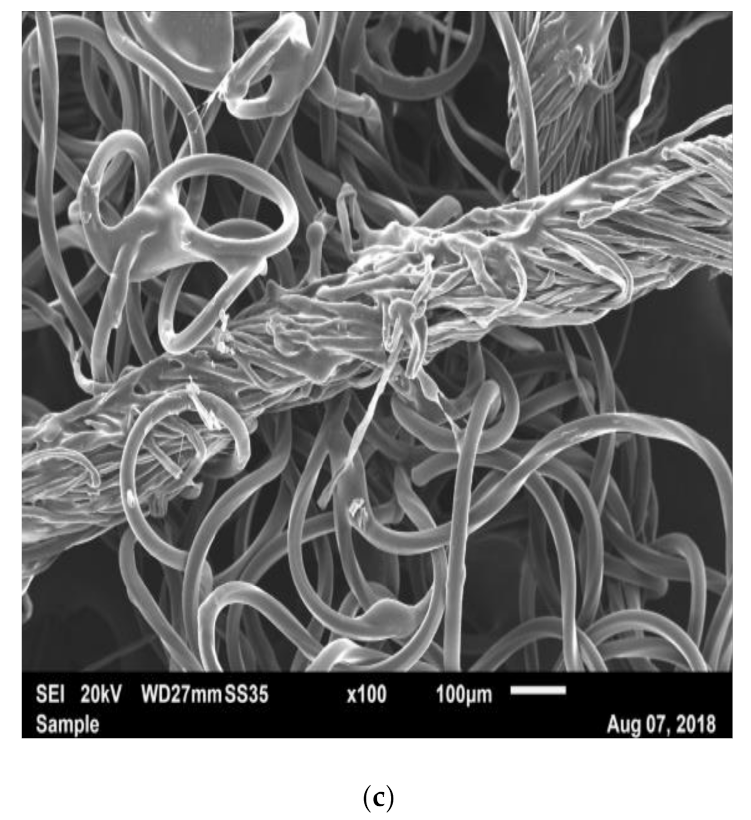 Materials 14 01508 g007b Materials 14 01508 g007b