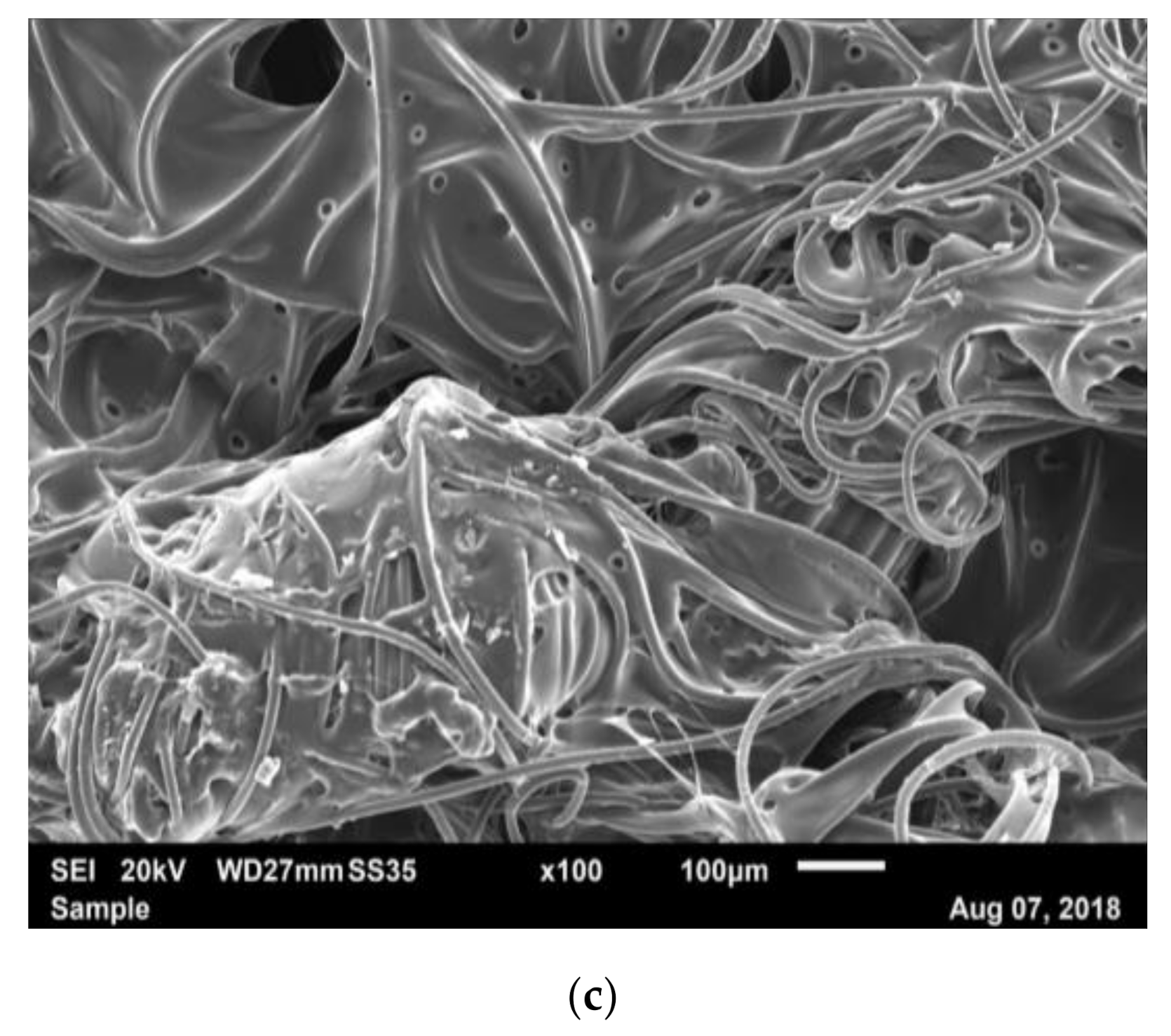 Materials 14 01508 g008b Materials 14 01508 g008b