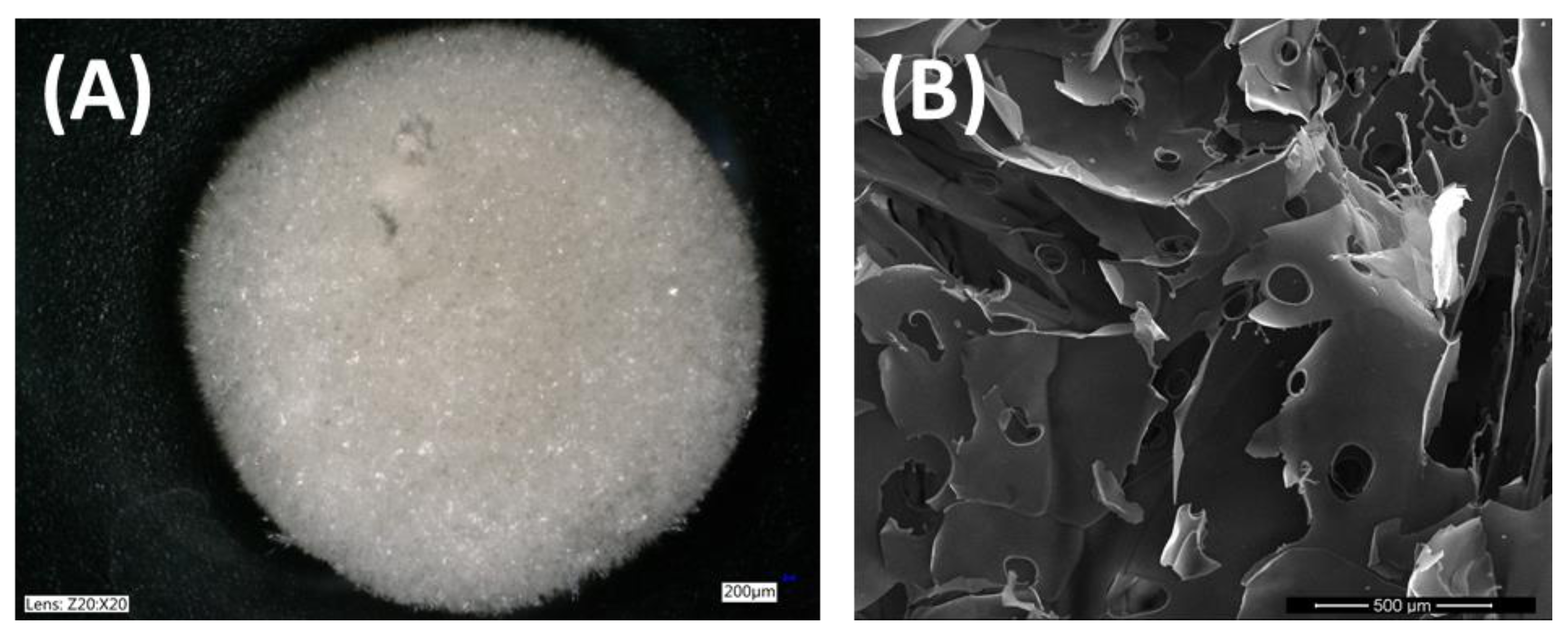 Materials 14 01510 g005