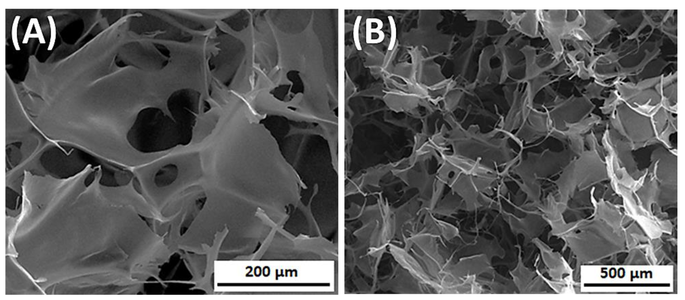 Materials 14 01510 g008