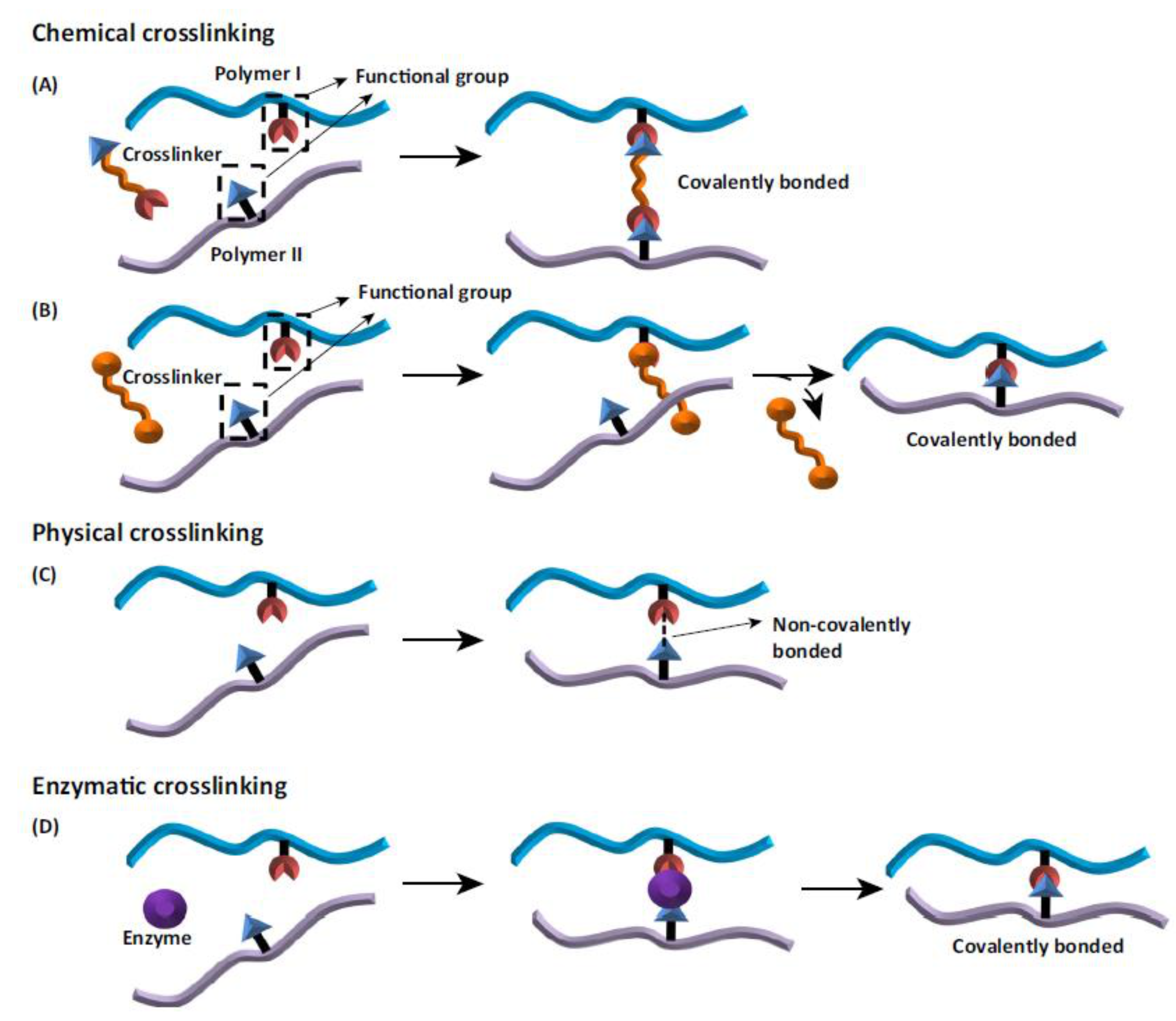 Materials 14 01510 g013