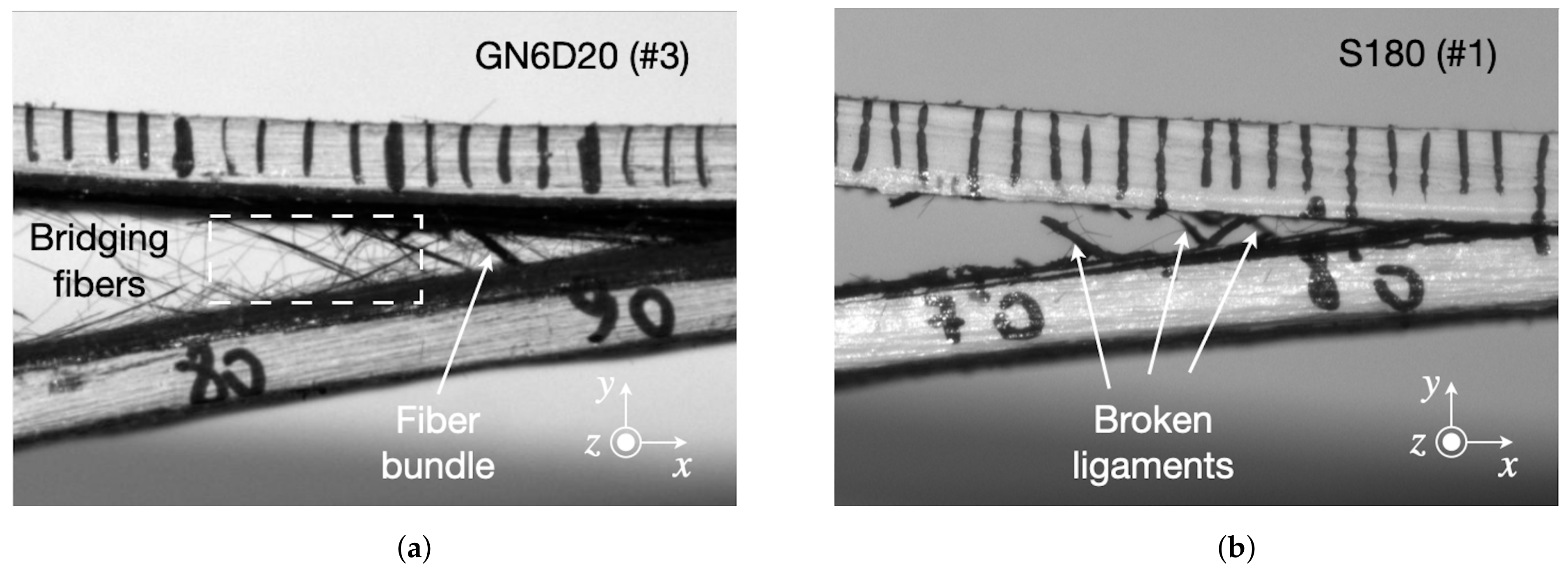Materials 14 01512 g012