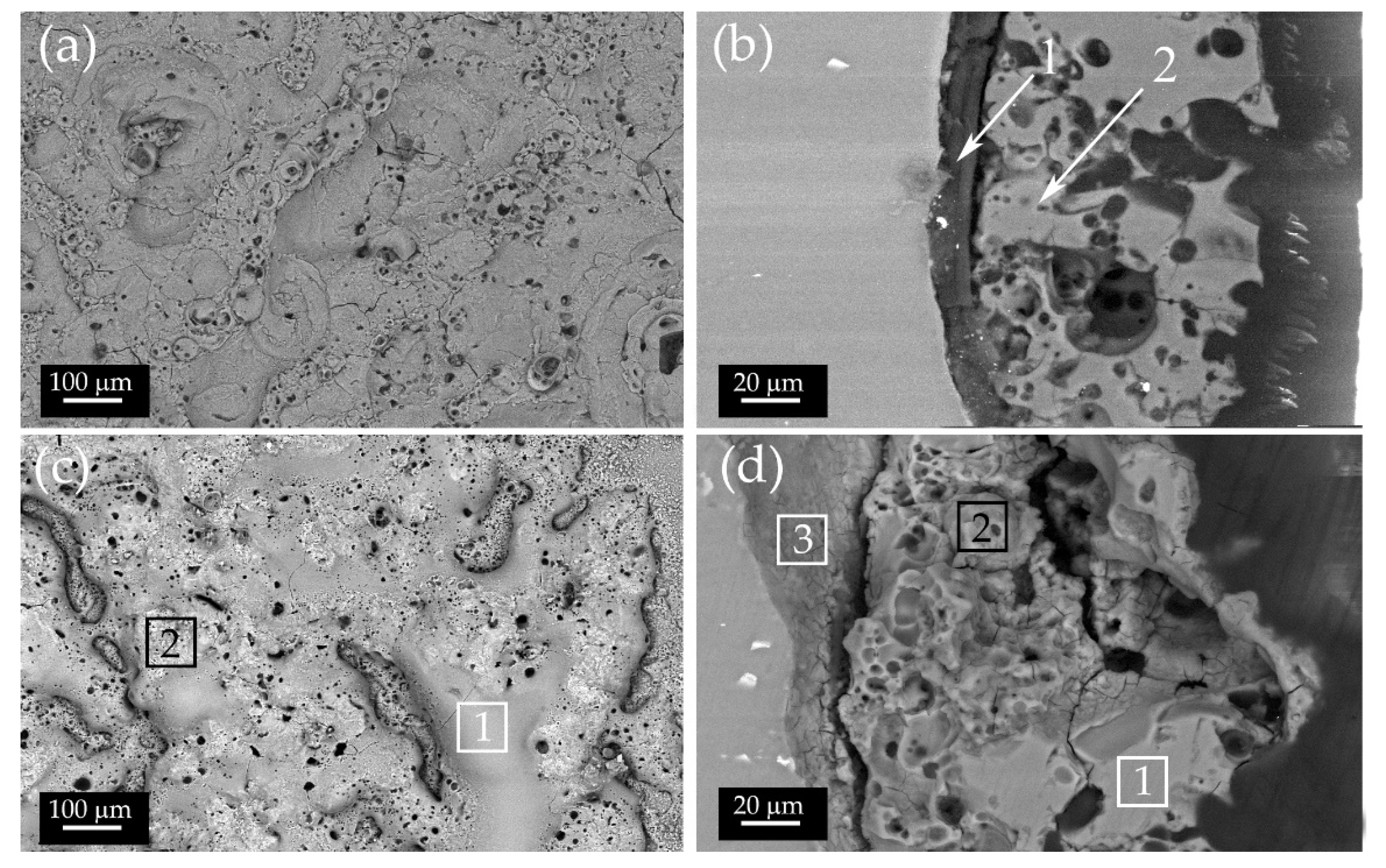 Materials 14 01531 g001