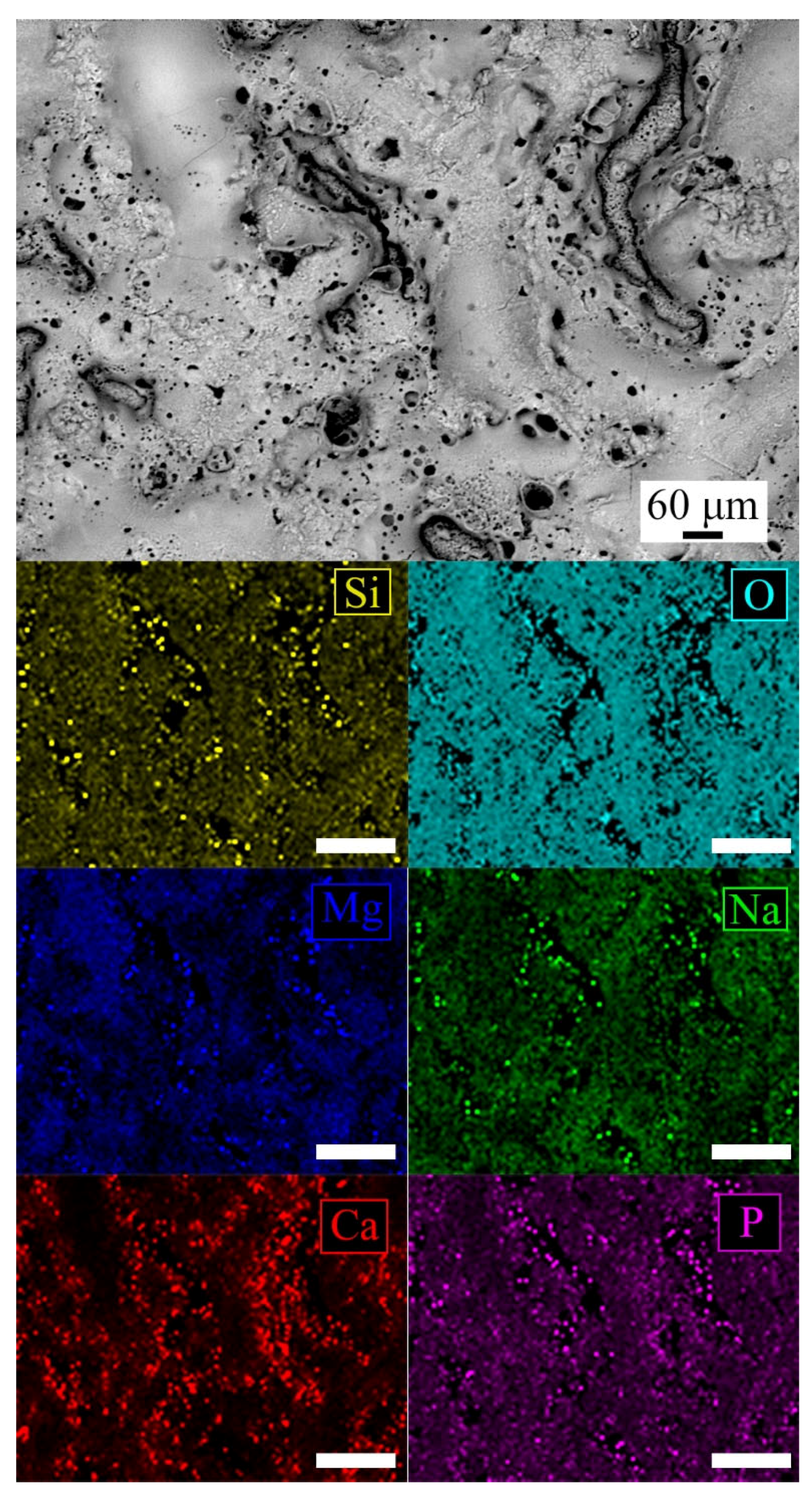 Materials 14 01531 g002