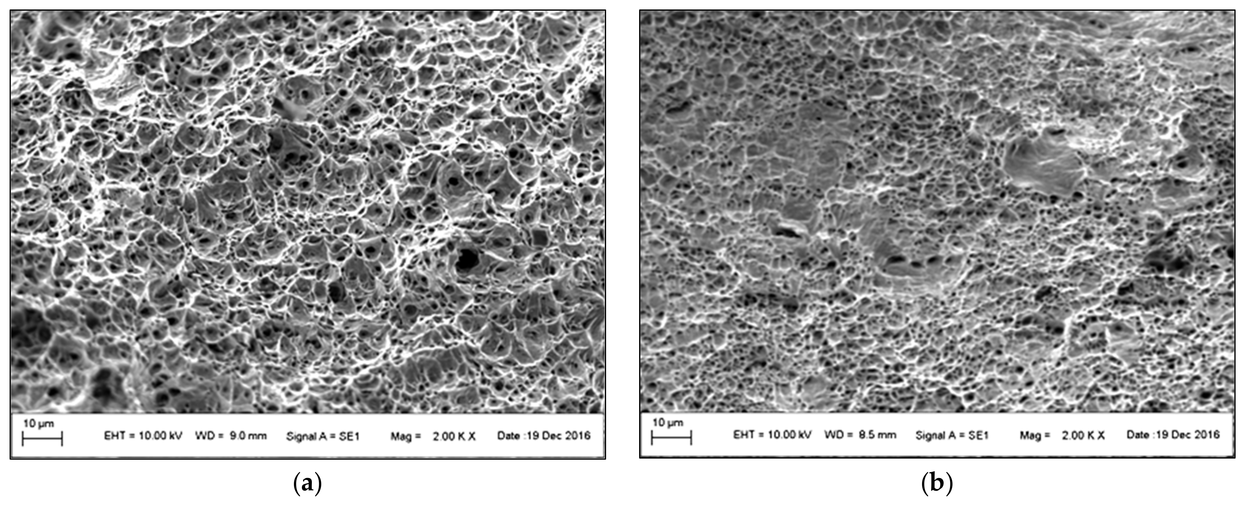 Materials 14 01553 g009