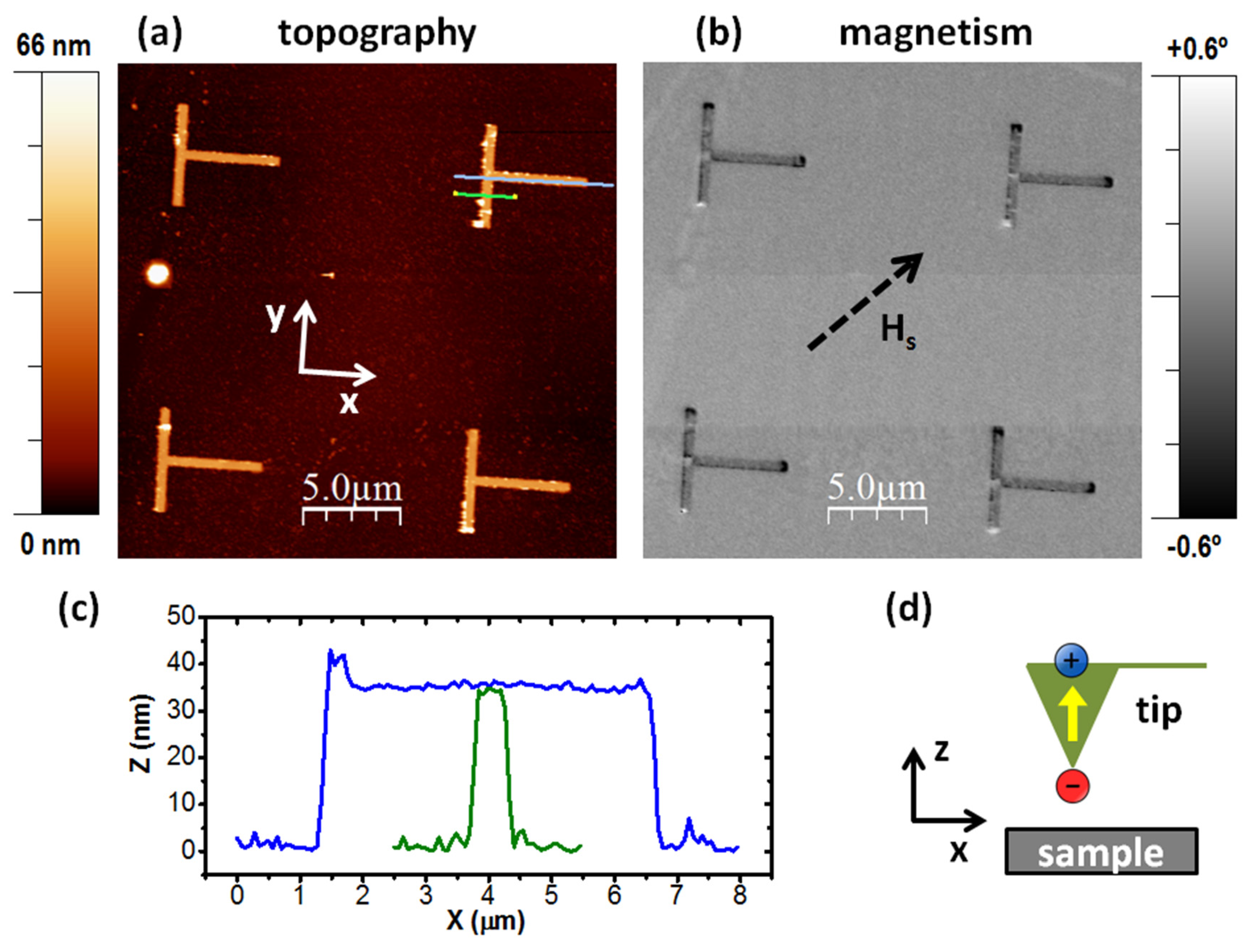 Materials 14 01567 g002