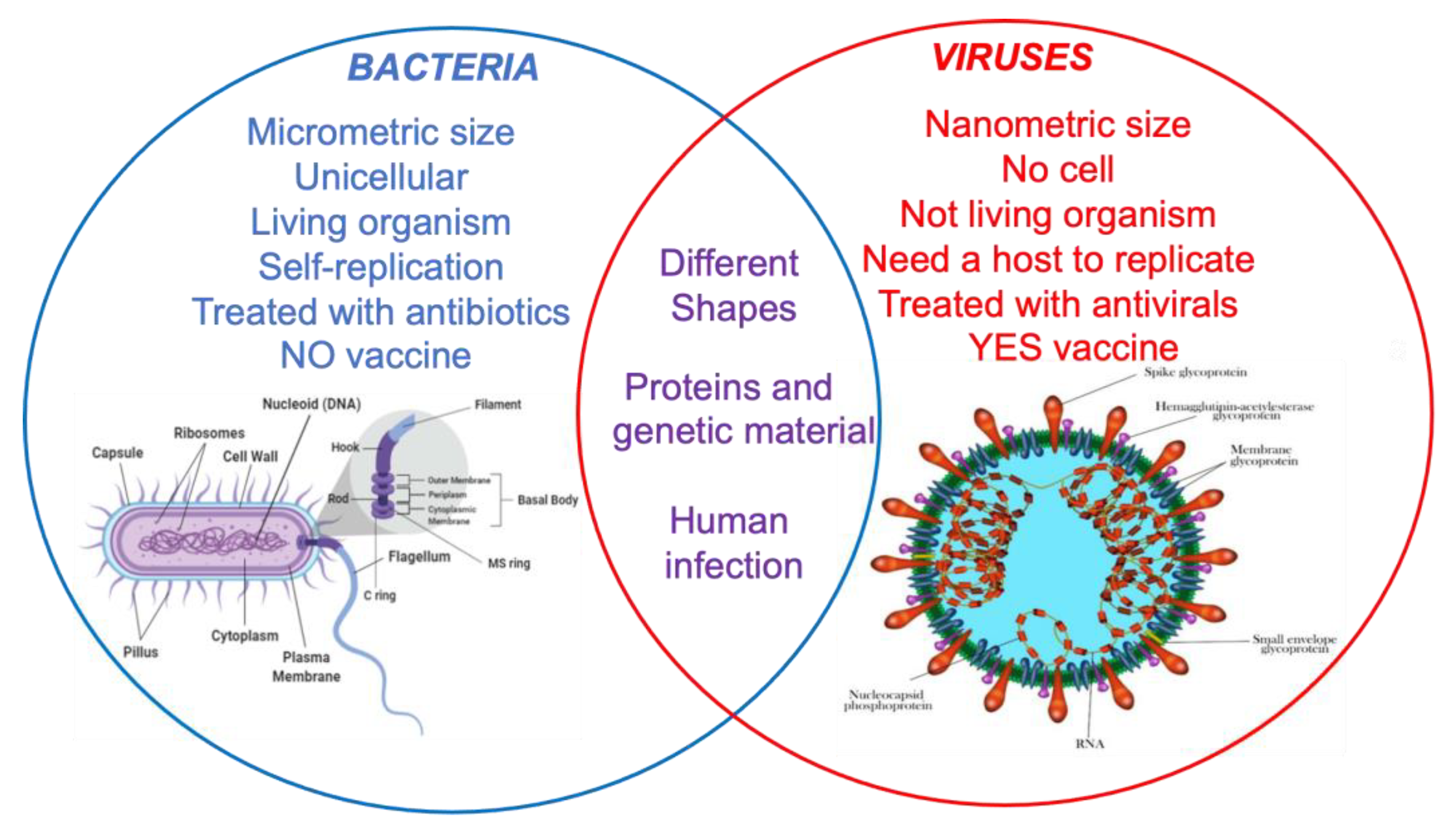 Materials 14 01577 g001