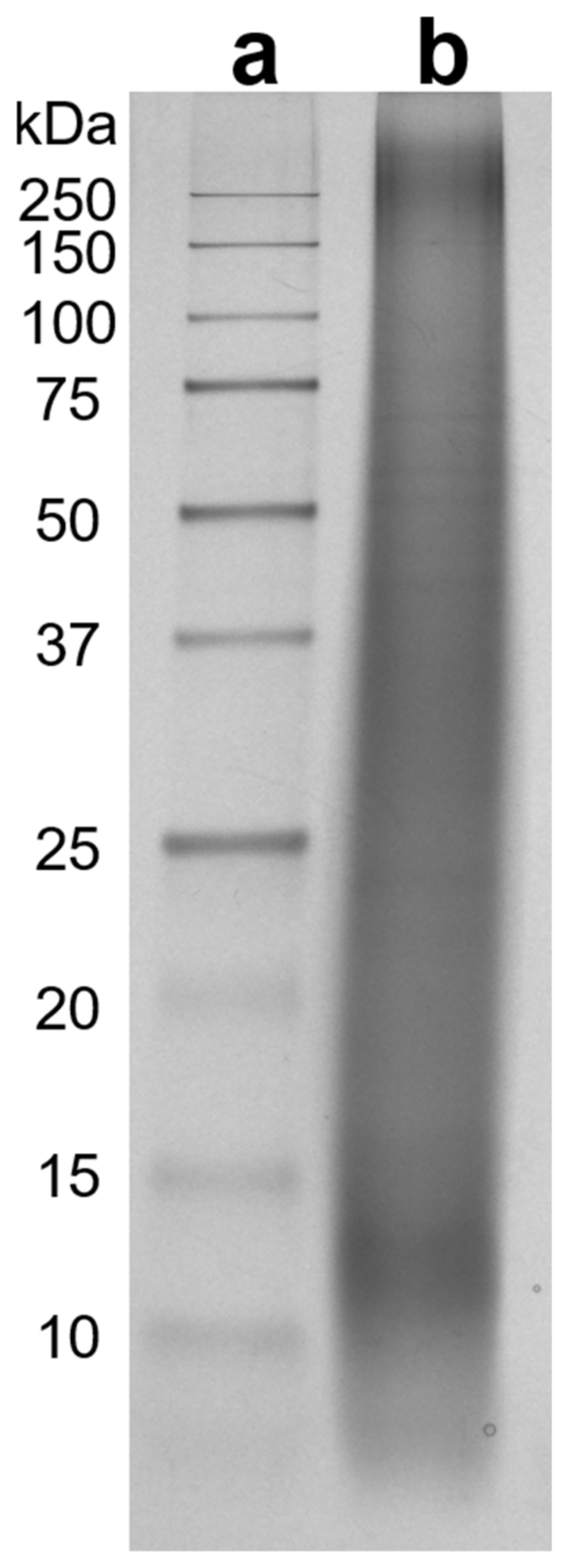 Materials 14 01582 g001 Materials 14 01582 g001
