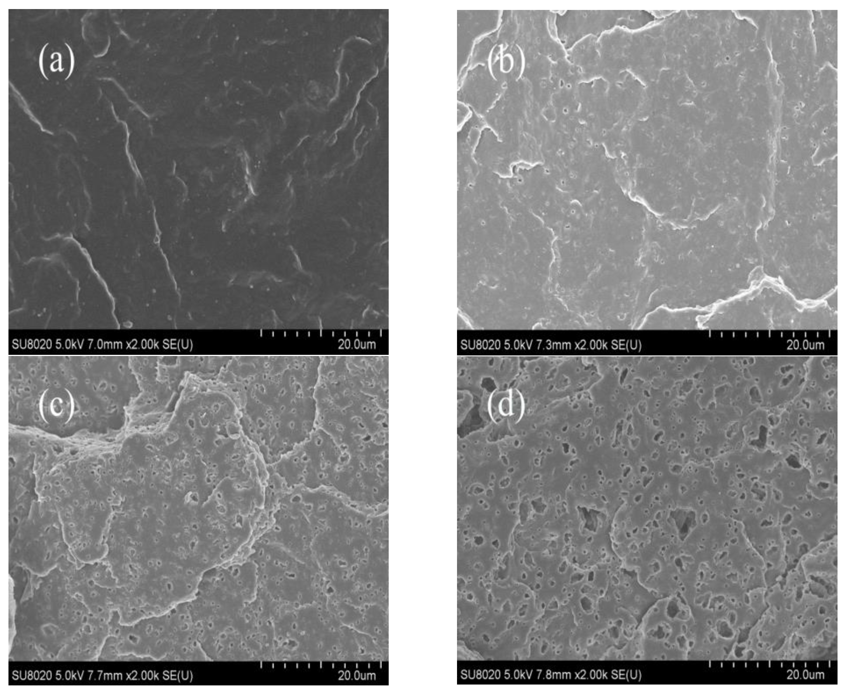 Materials 14 01596 g004