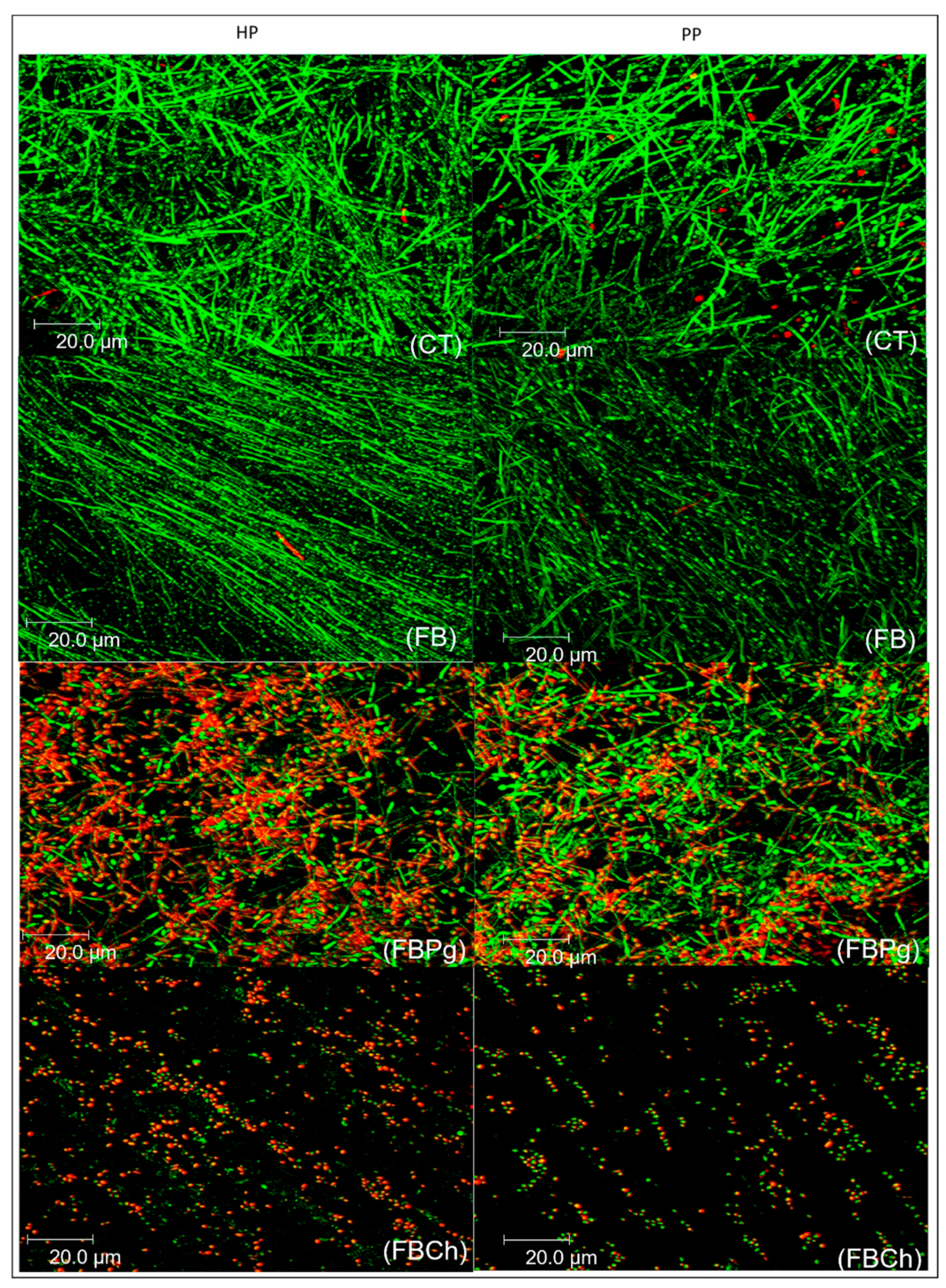 Materials 14 01618 g001