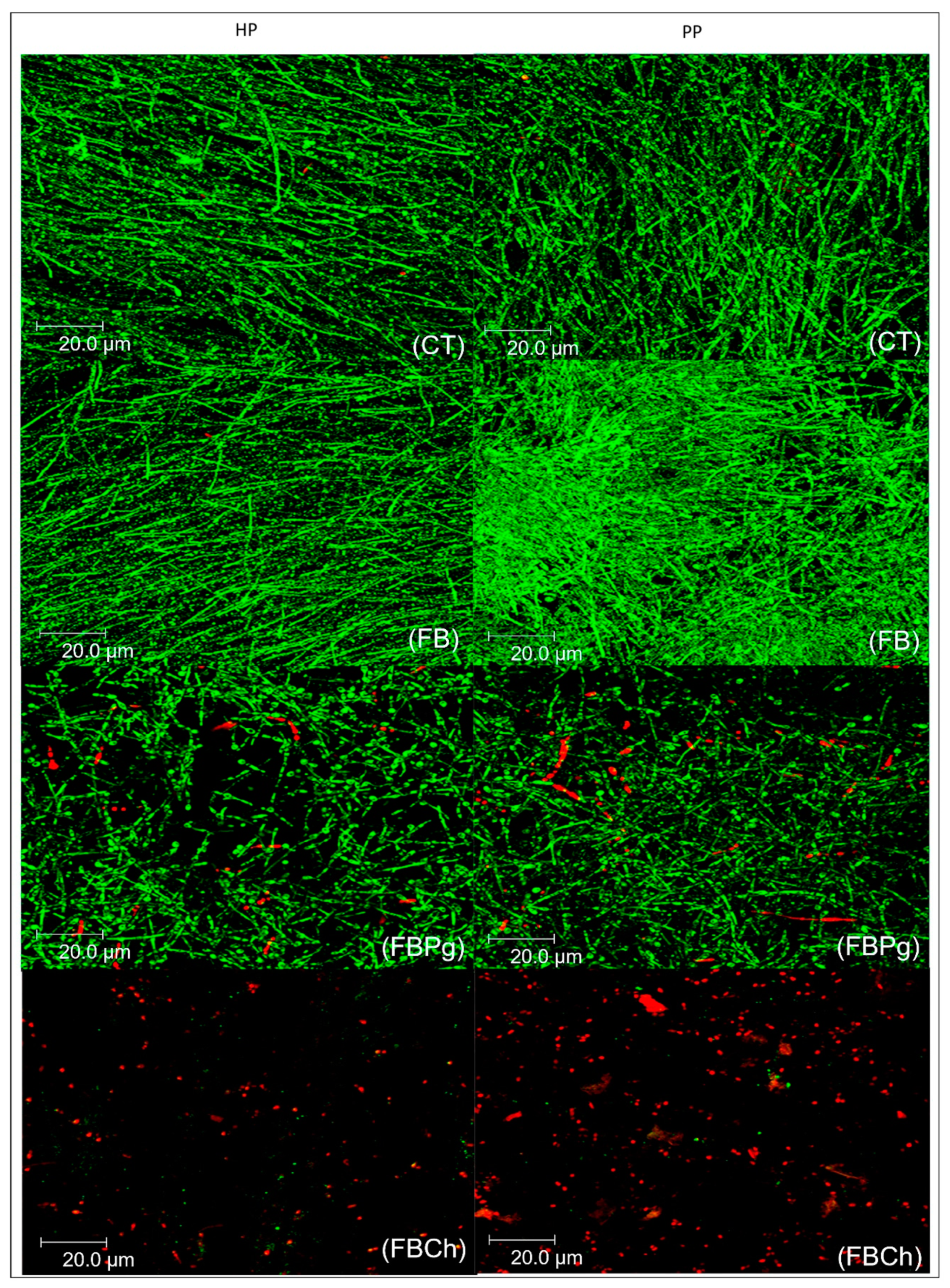 Materials 14 01618 g002