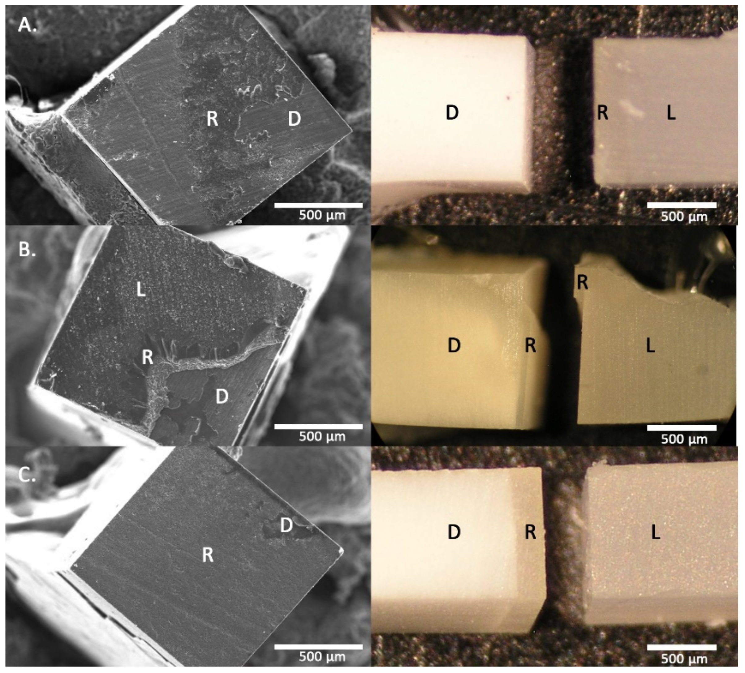 Materials 14 01629 g003 Materials 14 01629 g003