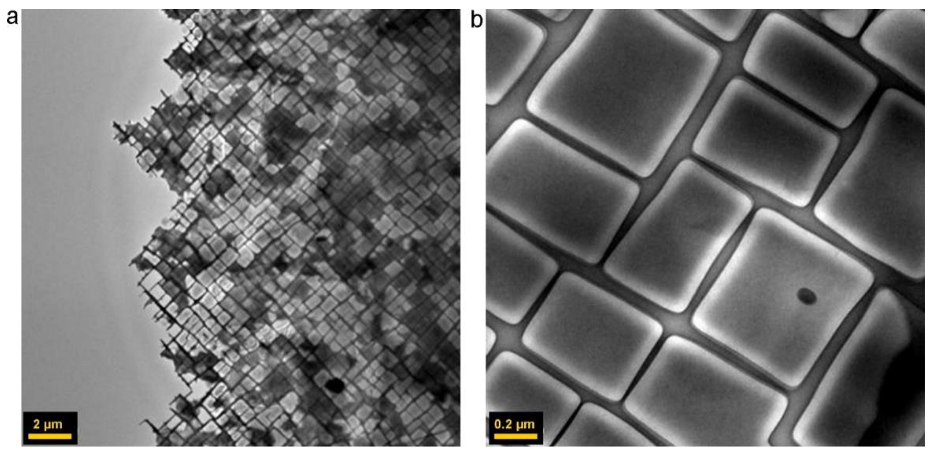 Materials 14 01656 g006 Materials 14 01656 g006