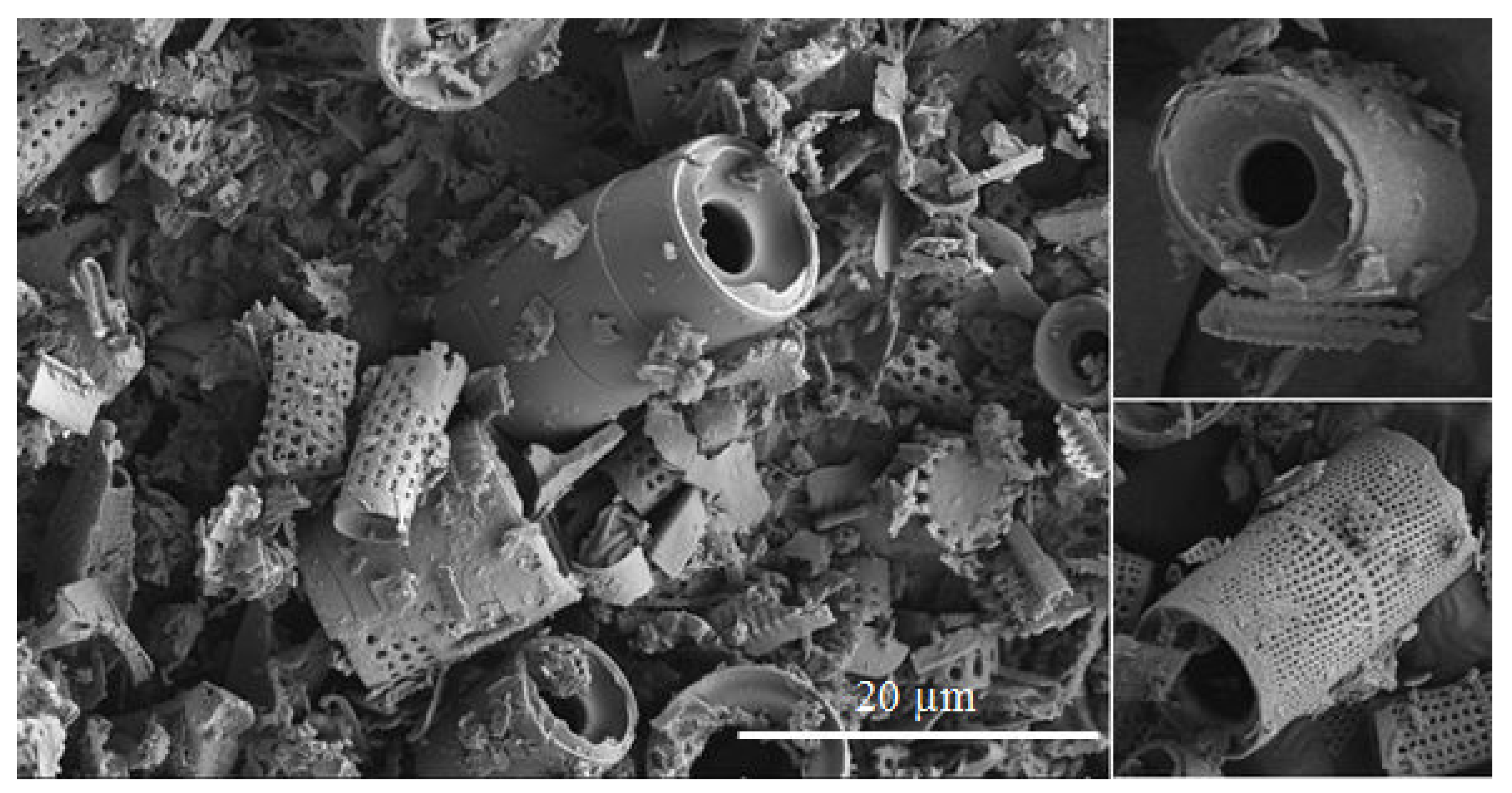 Materials 14 01663 g002