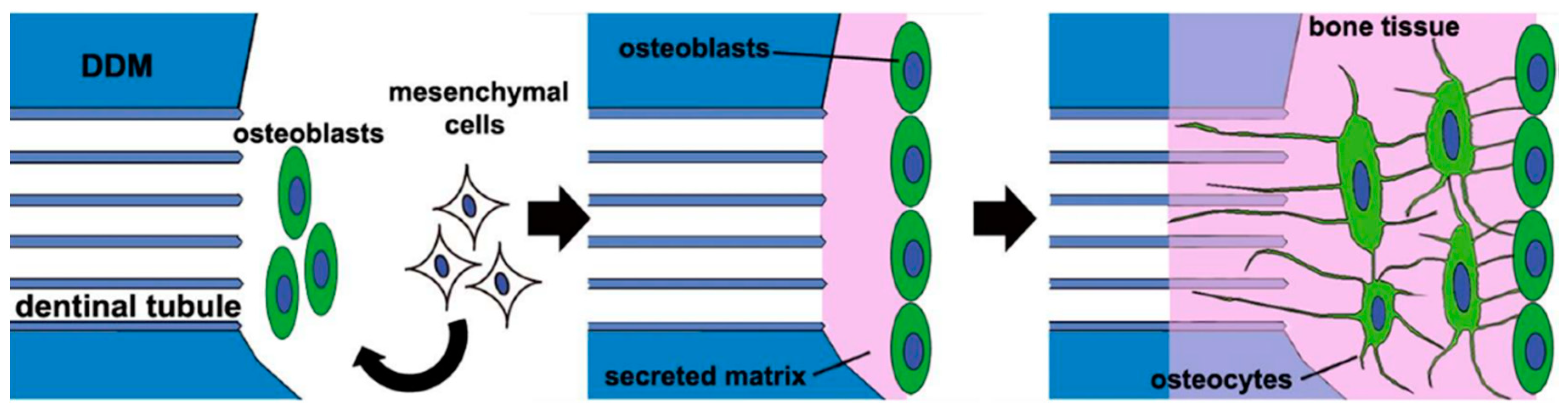 Materials 14 01713 g003 Materials 14 01713 g003