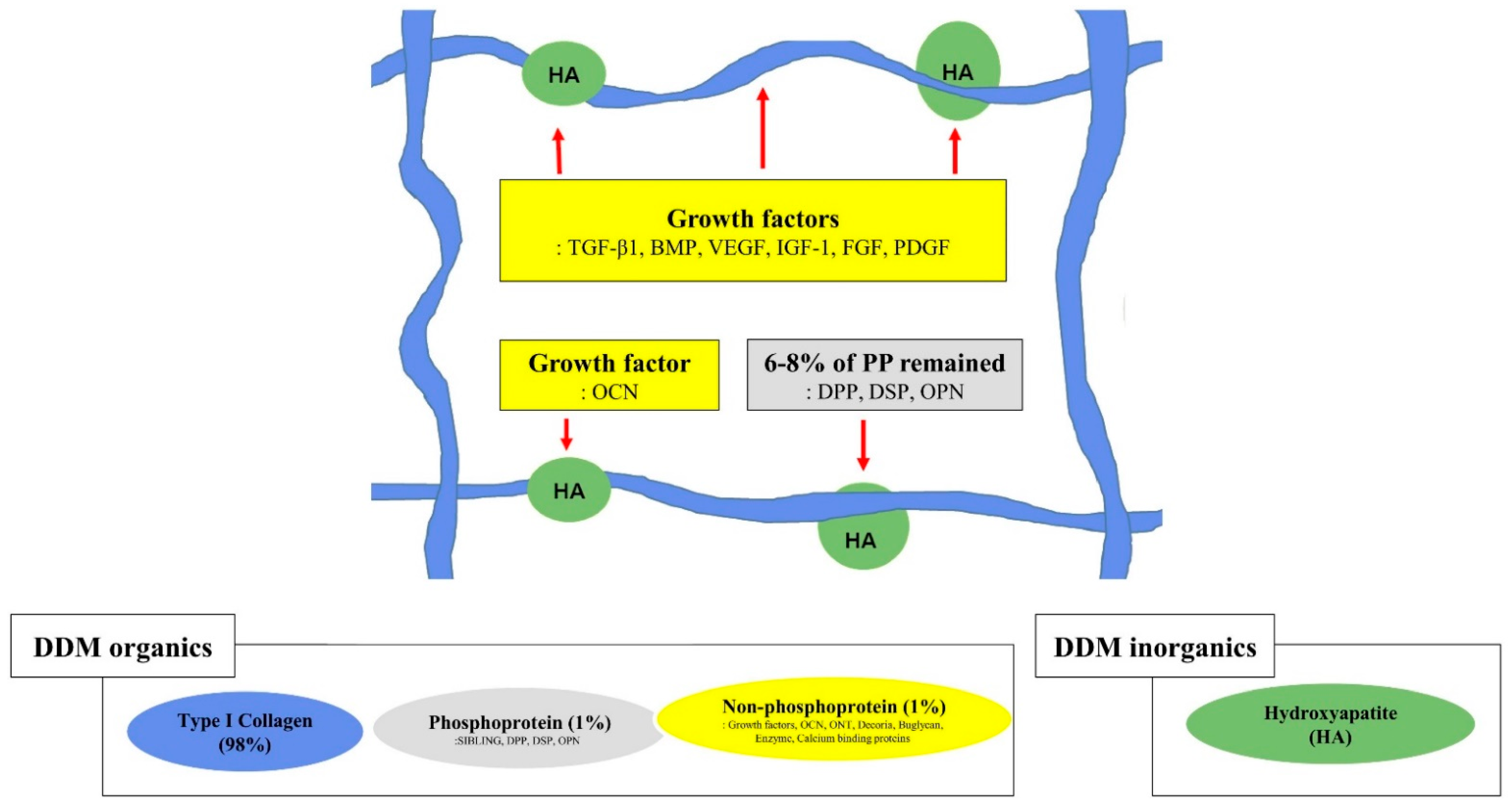 Materials 14 01713 g004 Materials 14 01713 g004