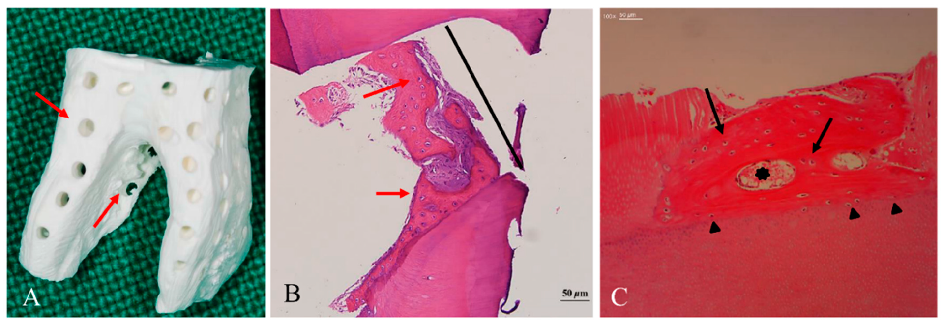 Materials 14 01713 g005 Materials 14 01713 g005