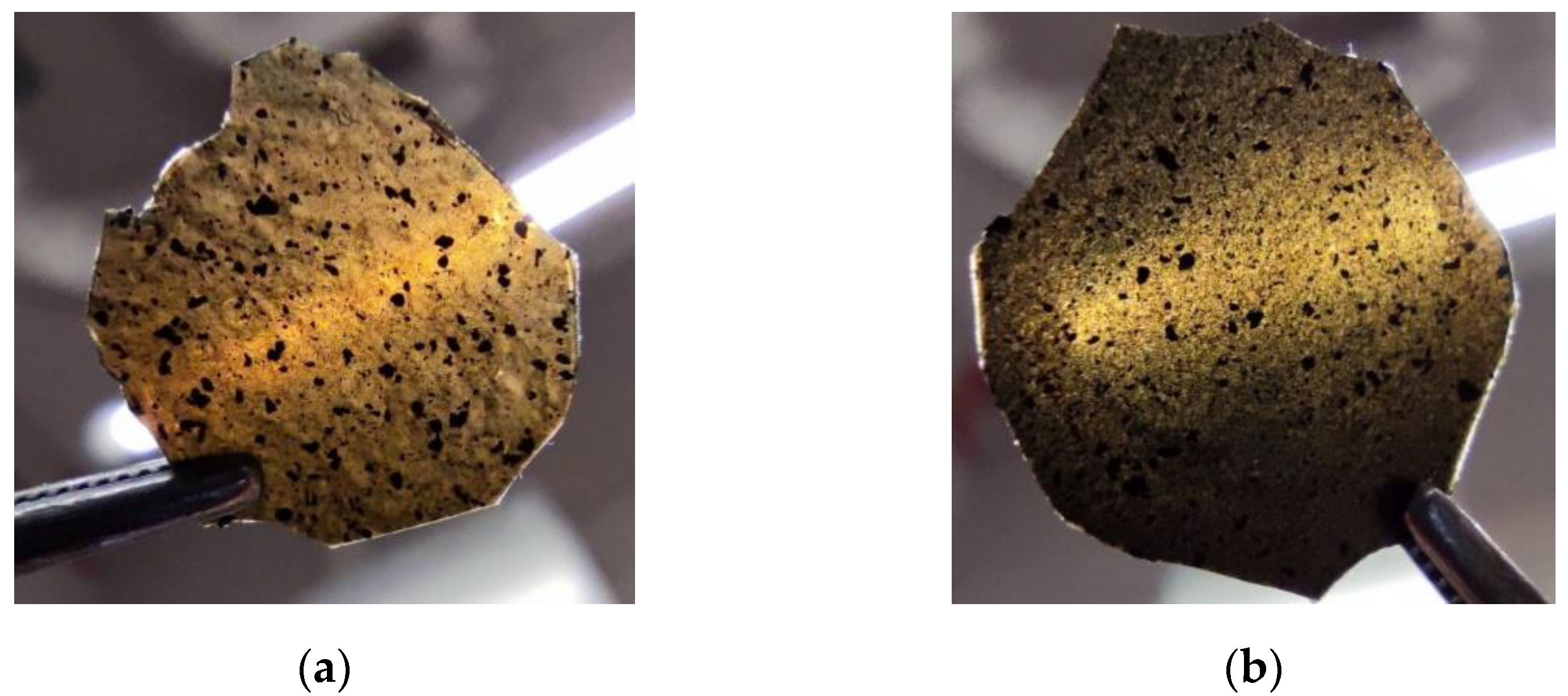 Materials 14 01719 g004