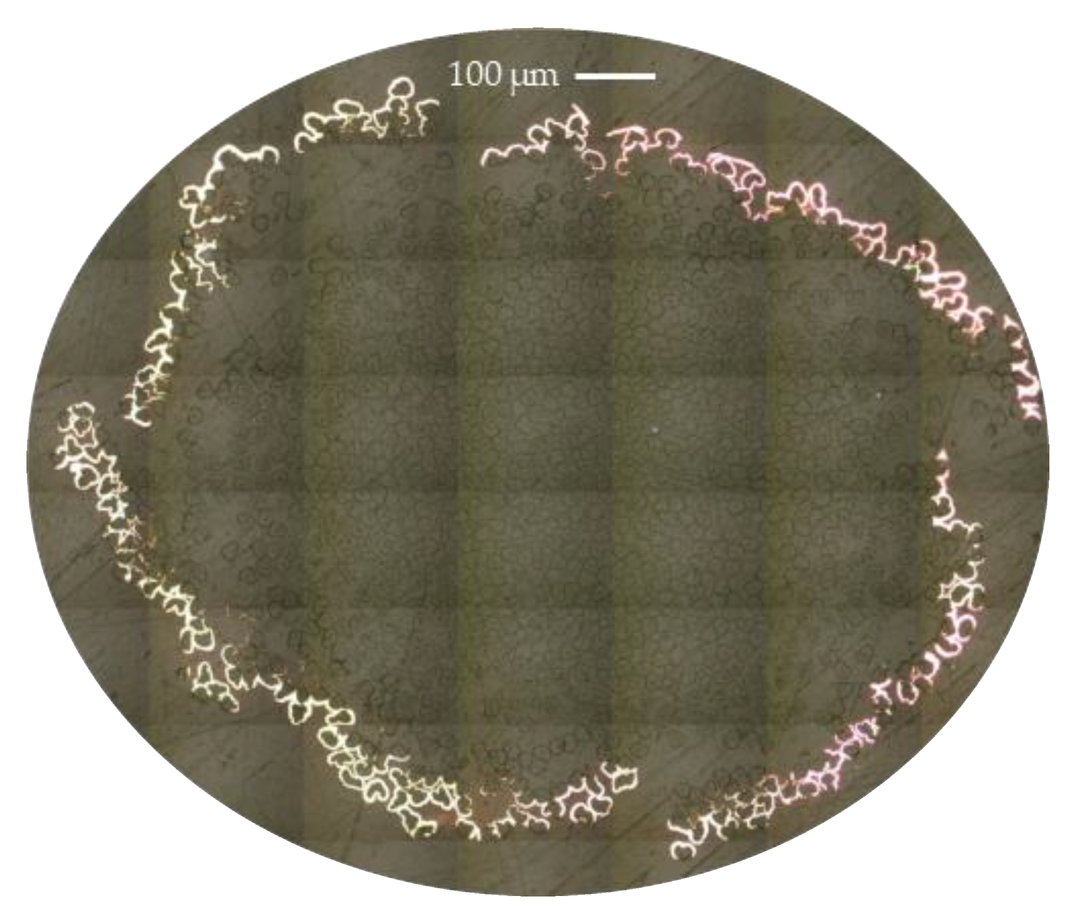 Materials 14 01746 g003 Materials 14 01746 g003