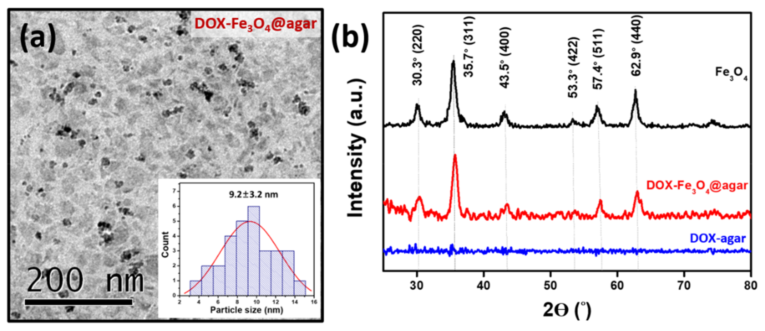 Materials 14 01824 g001