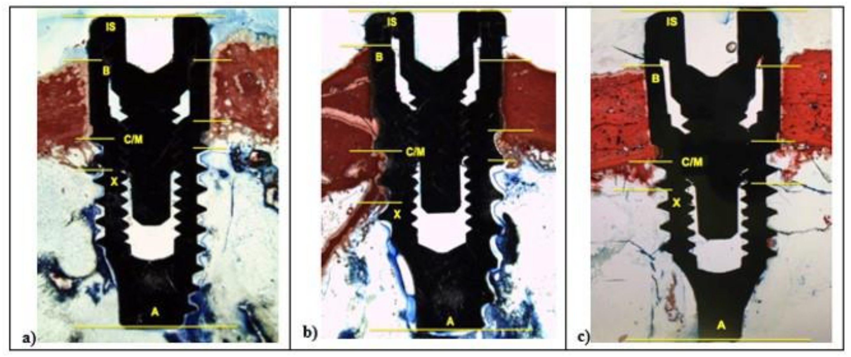 Materials 14 01830 g006 Materials 14 01830 g006