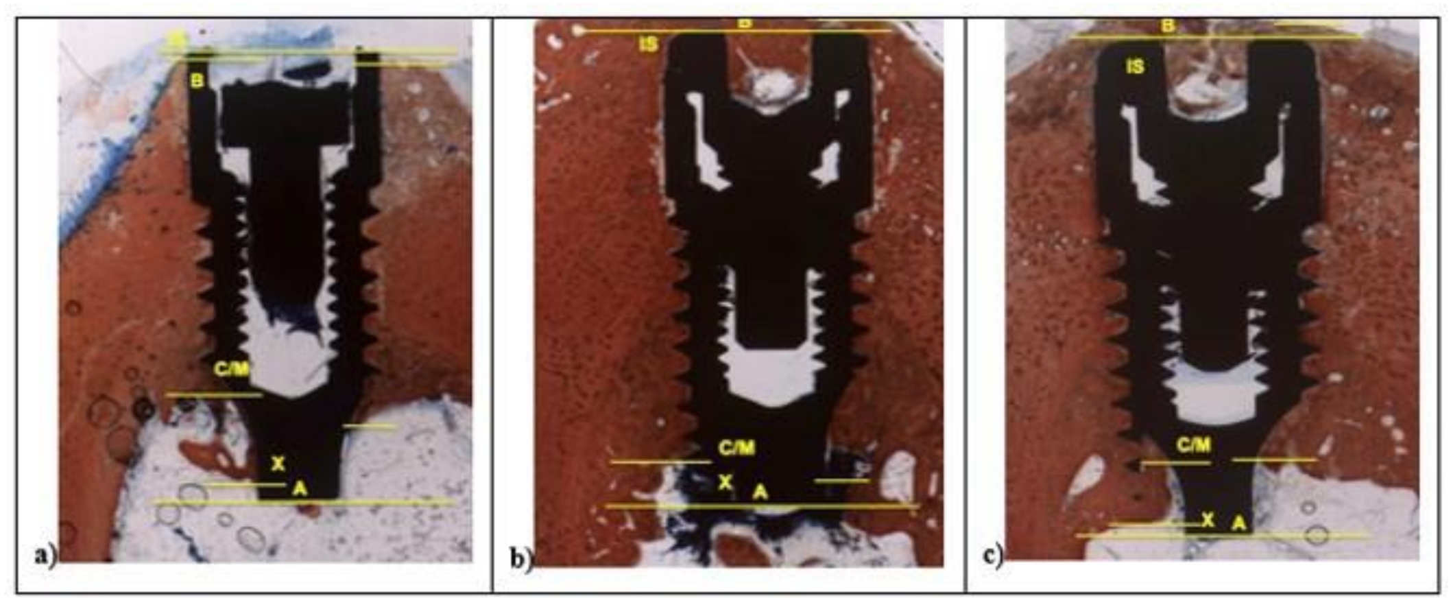 Materials 14 01830 g007 Materials 14 01830 g007