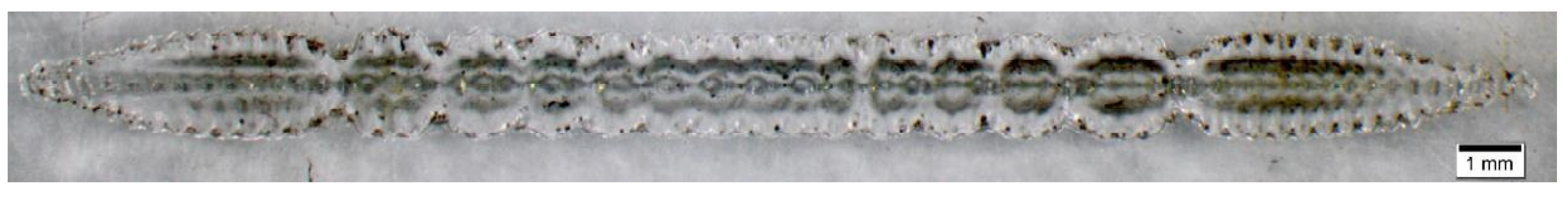 Materials 14 01847 g002 Materials 14 01847 g002