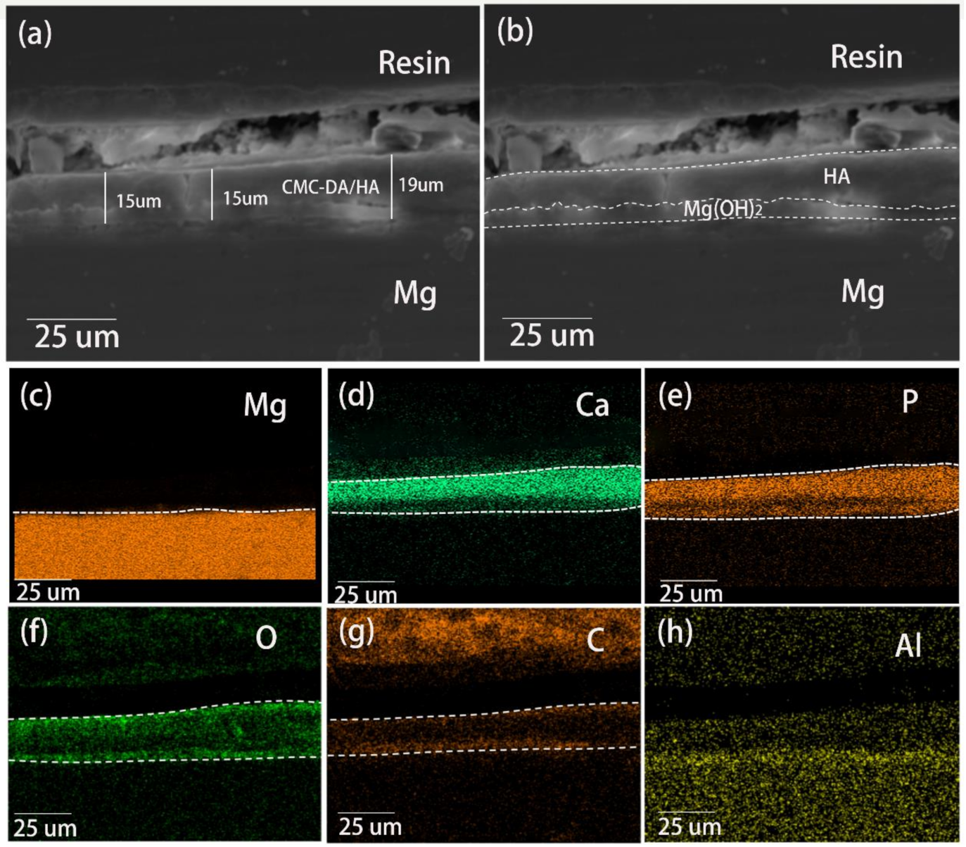 Materials 14 01849 g003 Materials 14 01849 g003