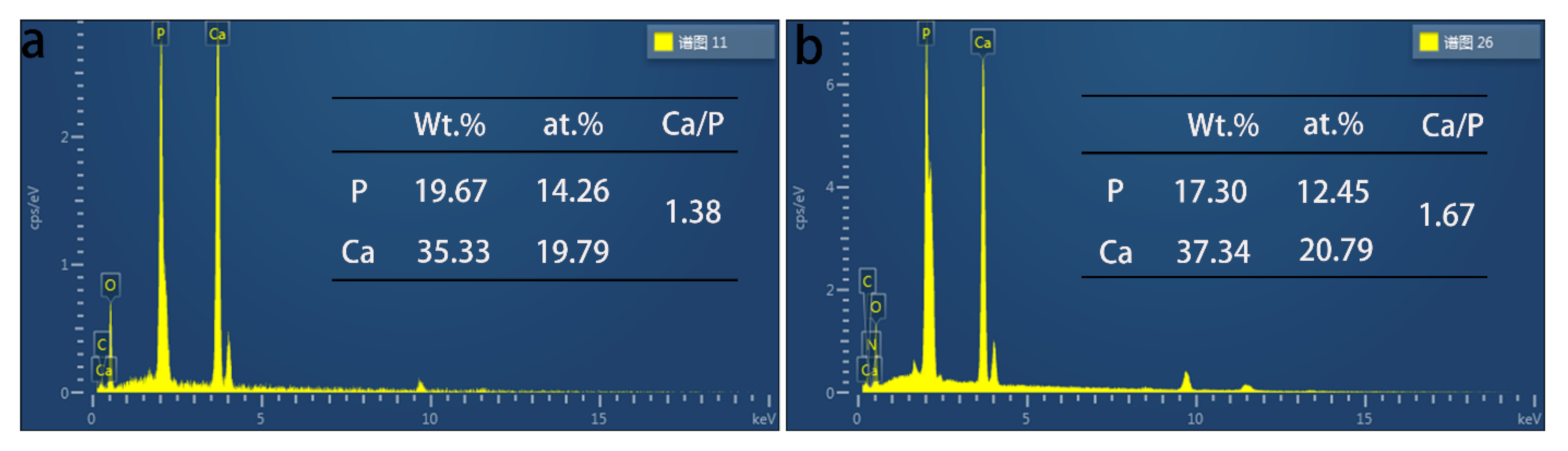 Materials 14 01849 g004 Materials 14 01849 g004