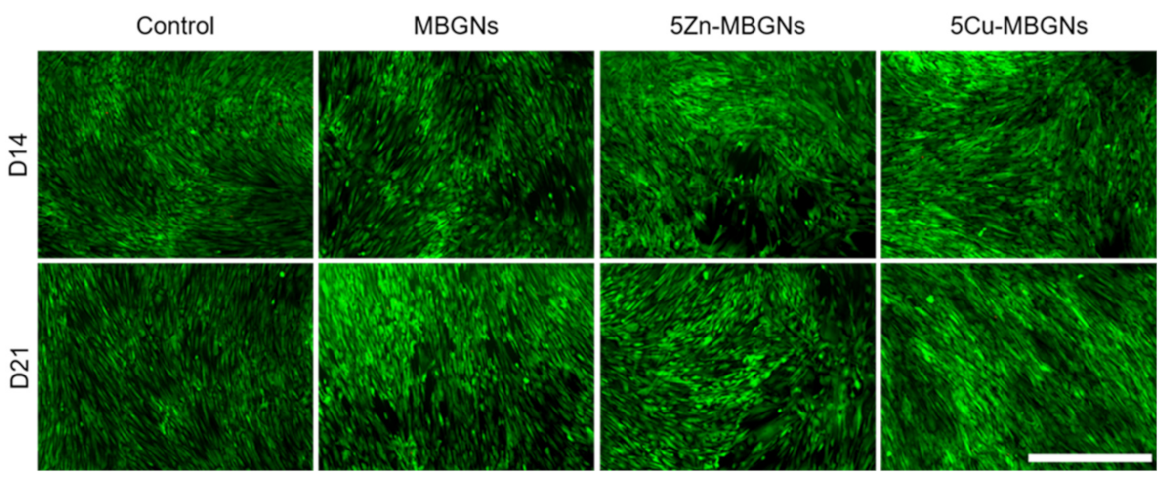 Materials 14 01864 g002
