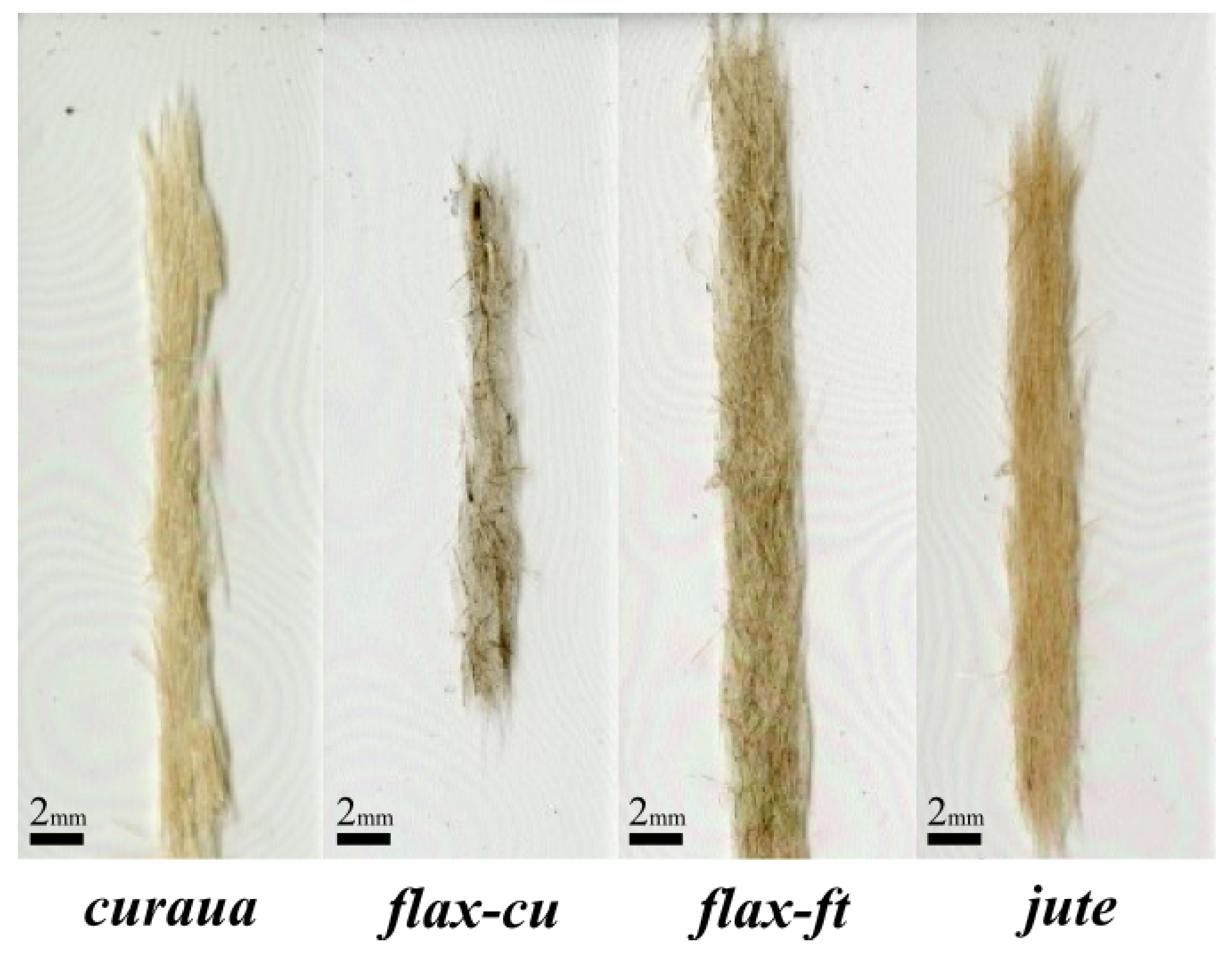 Materials 14 01885 g006