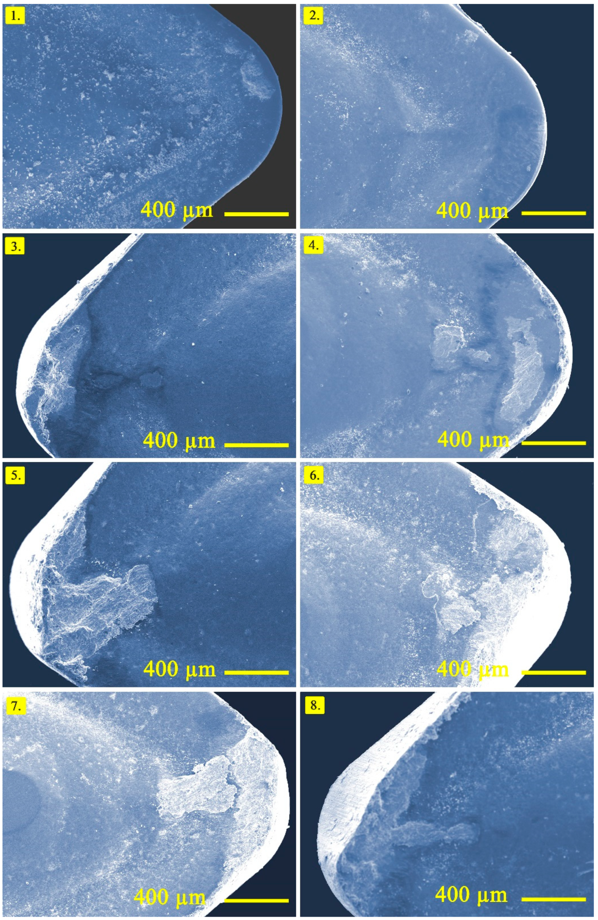 Materials 14 01921 g008