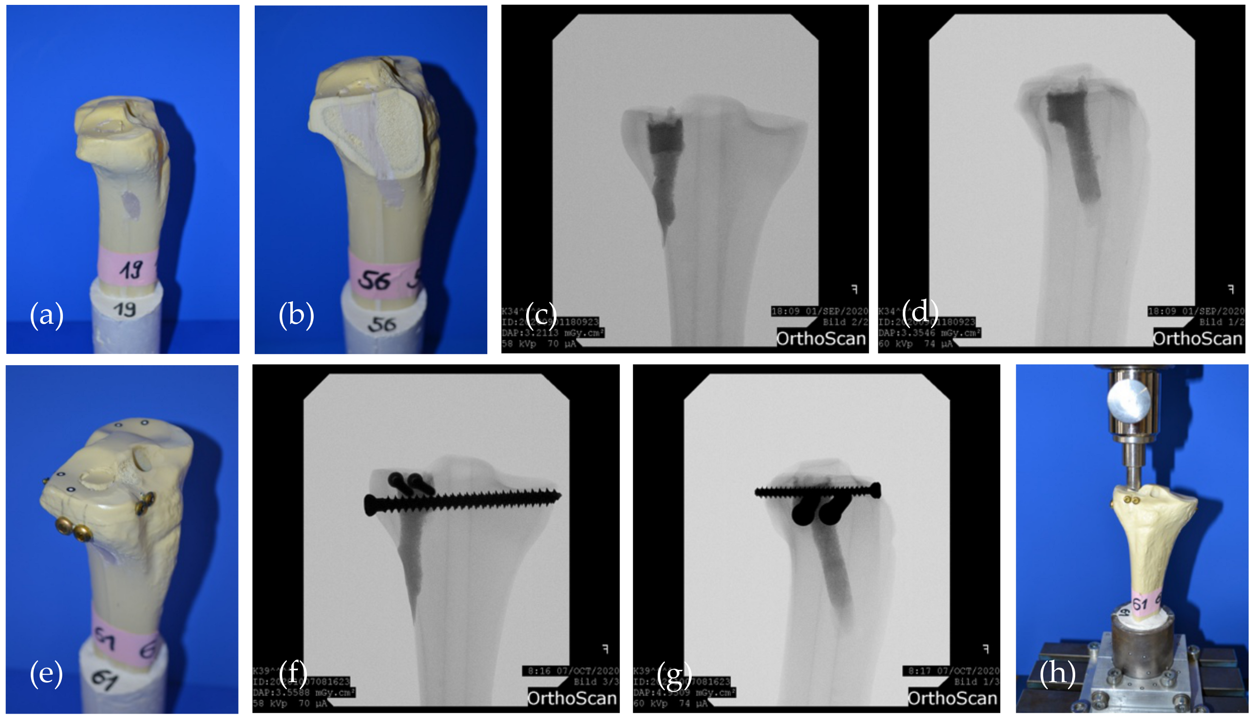 Materials 14 01925 g004