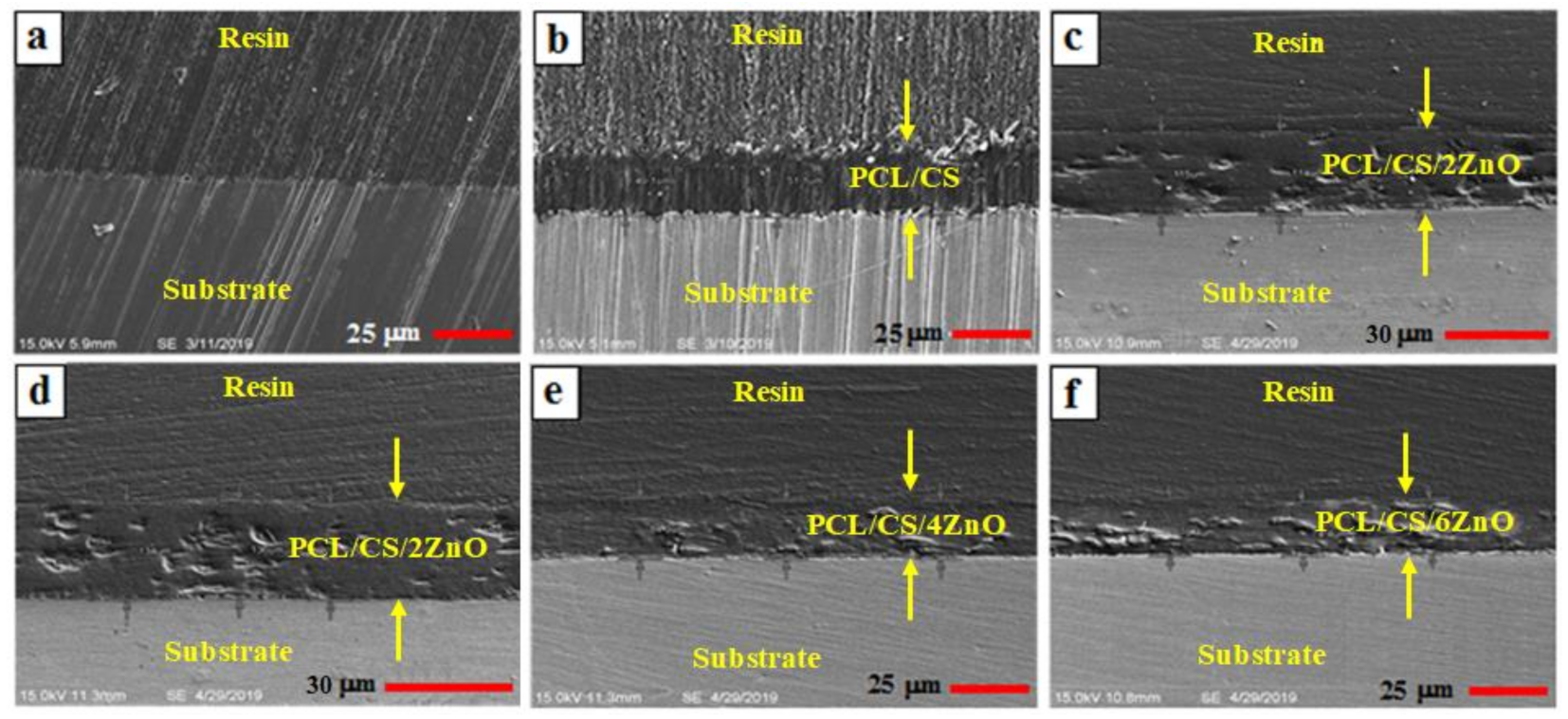 Materials 14 01930 g003 Materials 14 01930 g003