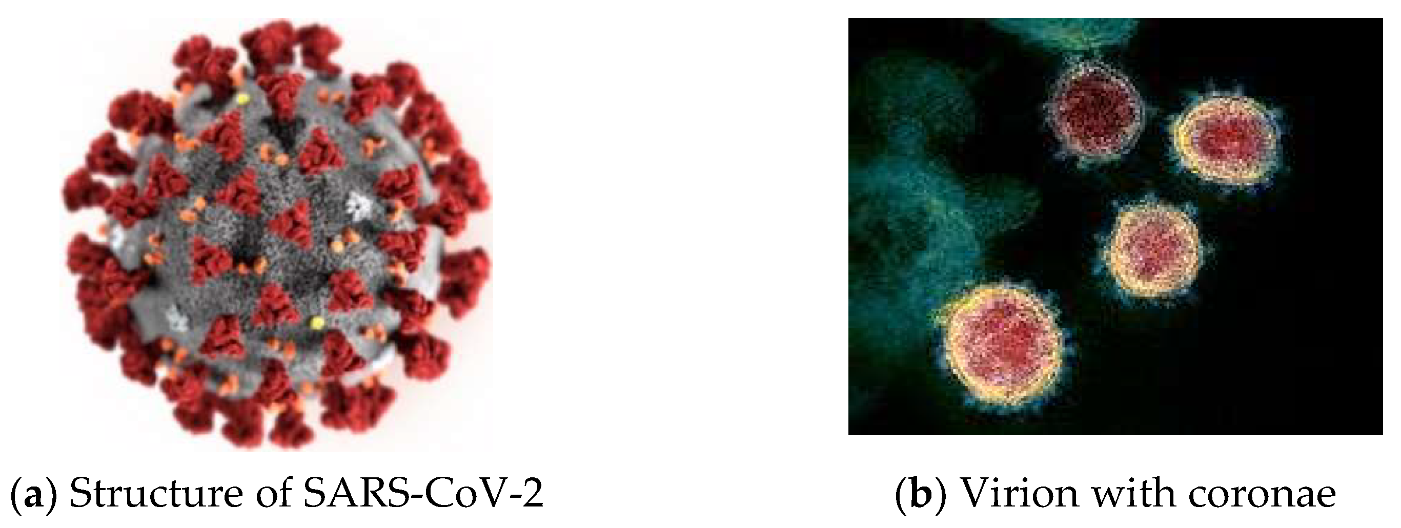 Materials 14 01937 g001 Materials 14 01937 g001