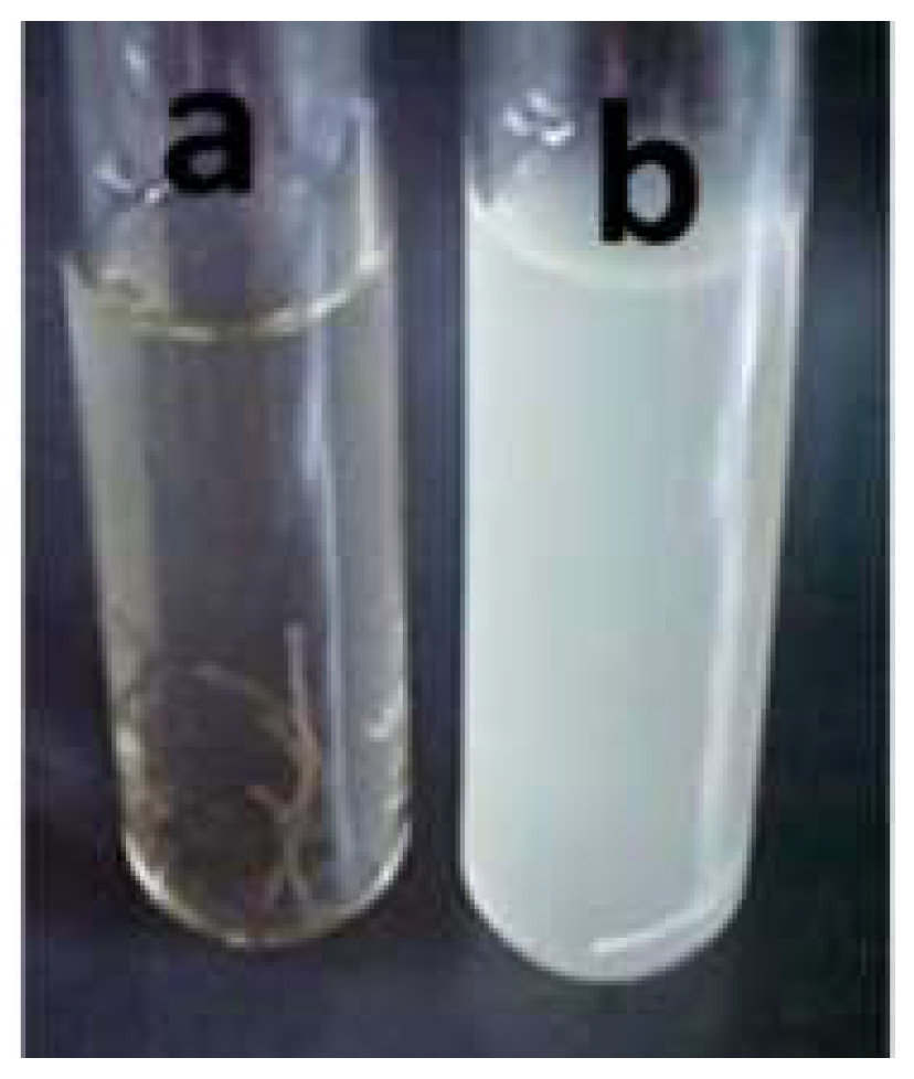 Materials 14 01937 g008 Materials 14 01937 g008